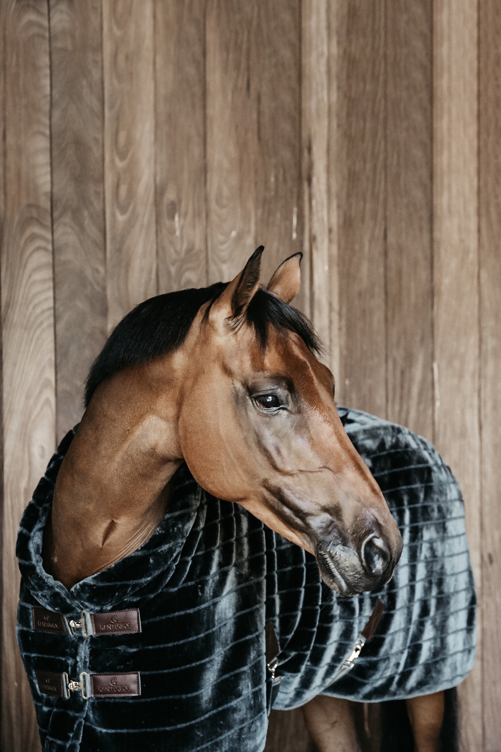 Derka stajenna Kentucky Horsewear ze sztucznego futerka