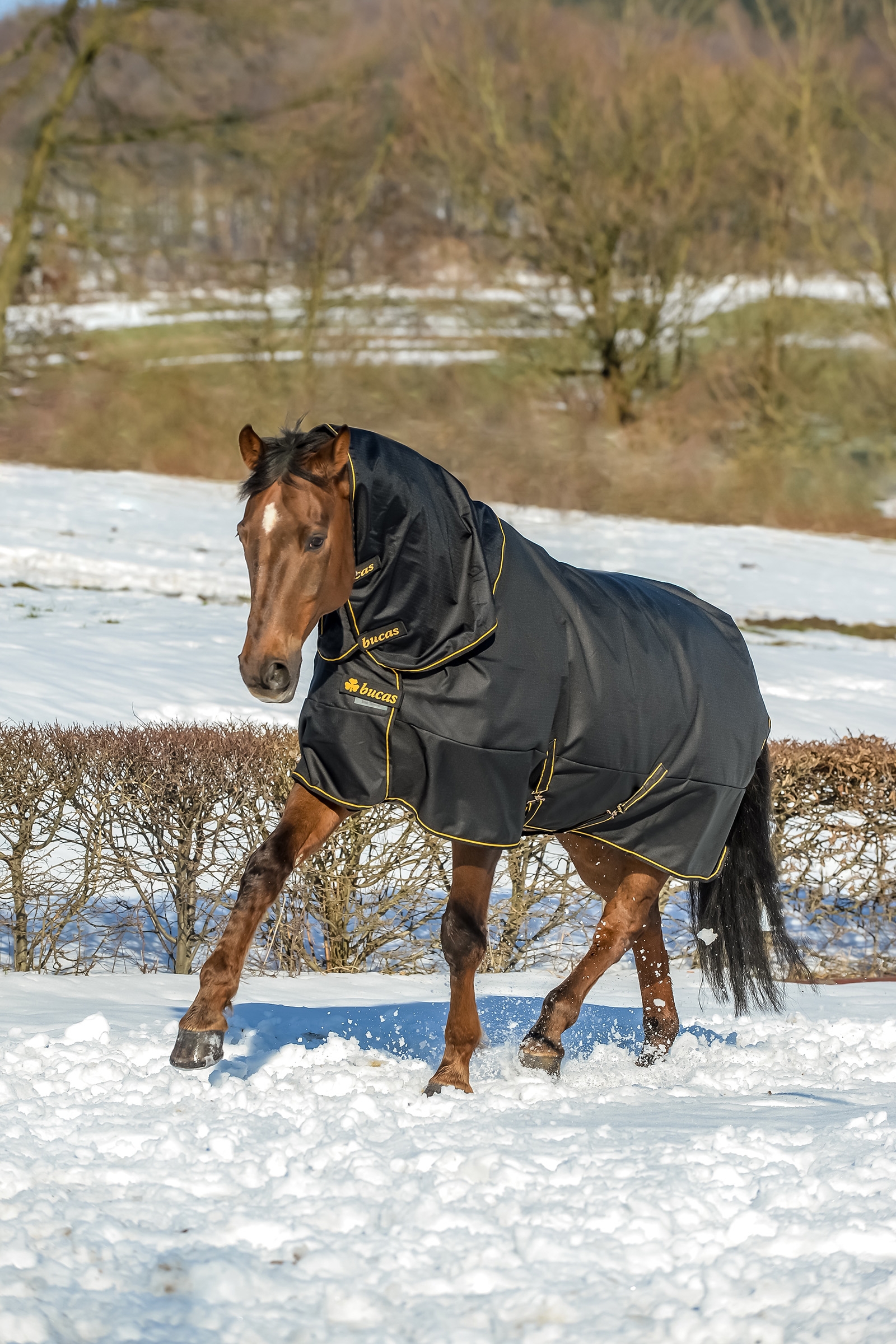 Bucas Irish Turnout Extra Pony Turnout Rug, 300g