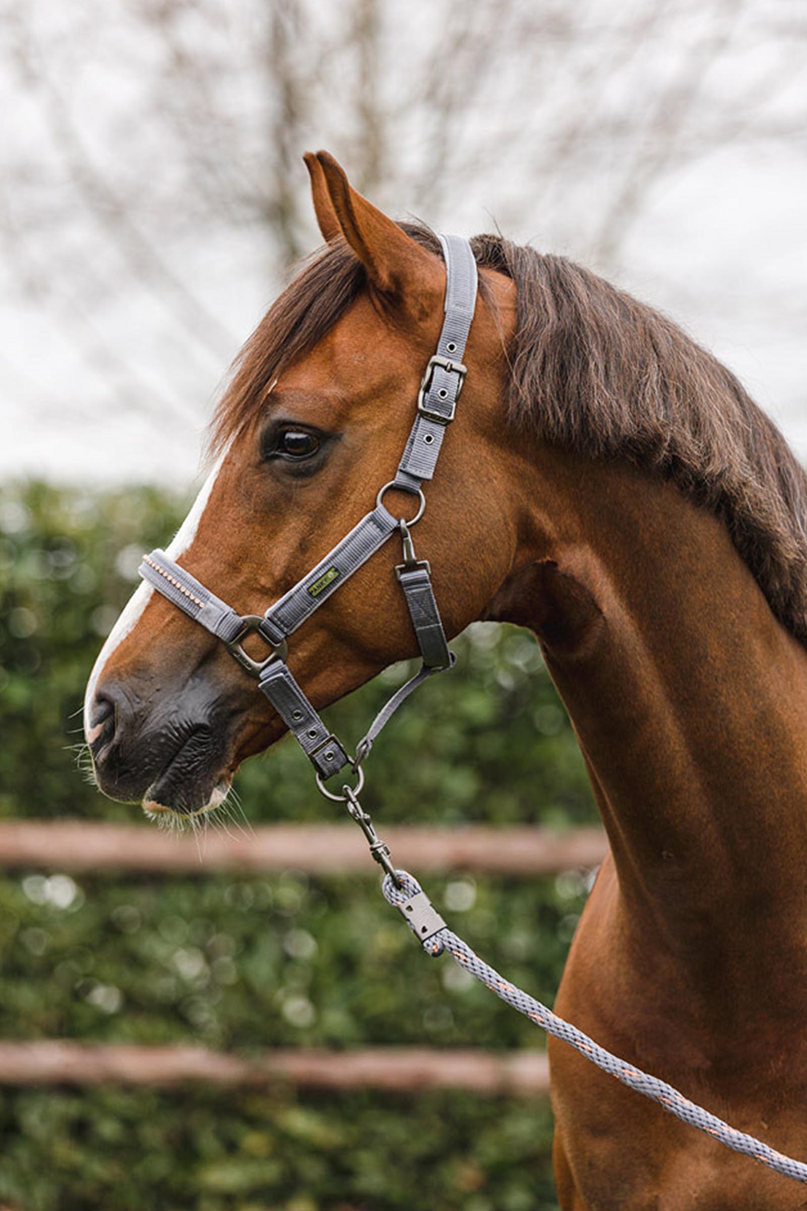 ANKY Stones Kantar i Uwiąz, zestaw