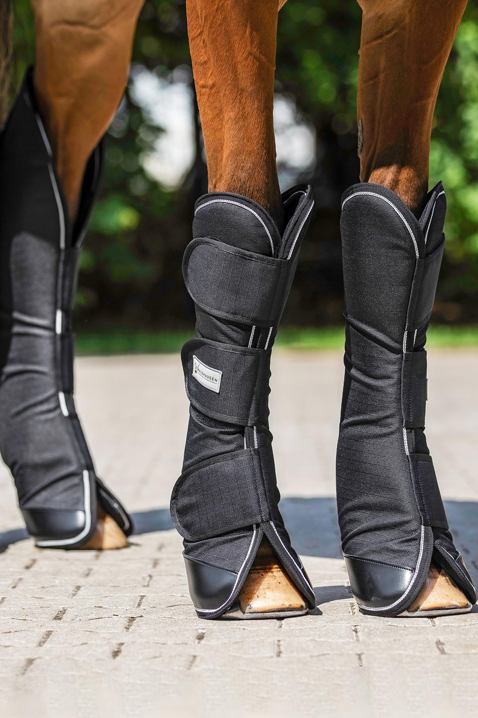 Waldhausen Comfort Line ochraniacze transportowe (zestaw 4 szt.)