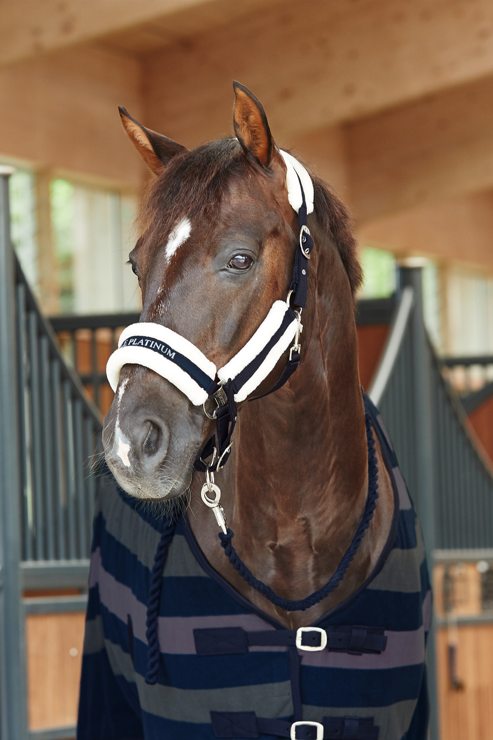 Kantar Horze Stanford z podszyciem ze sztucznego futerka