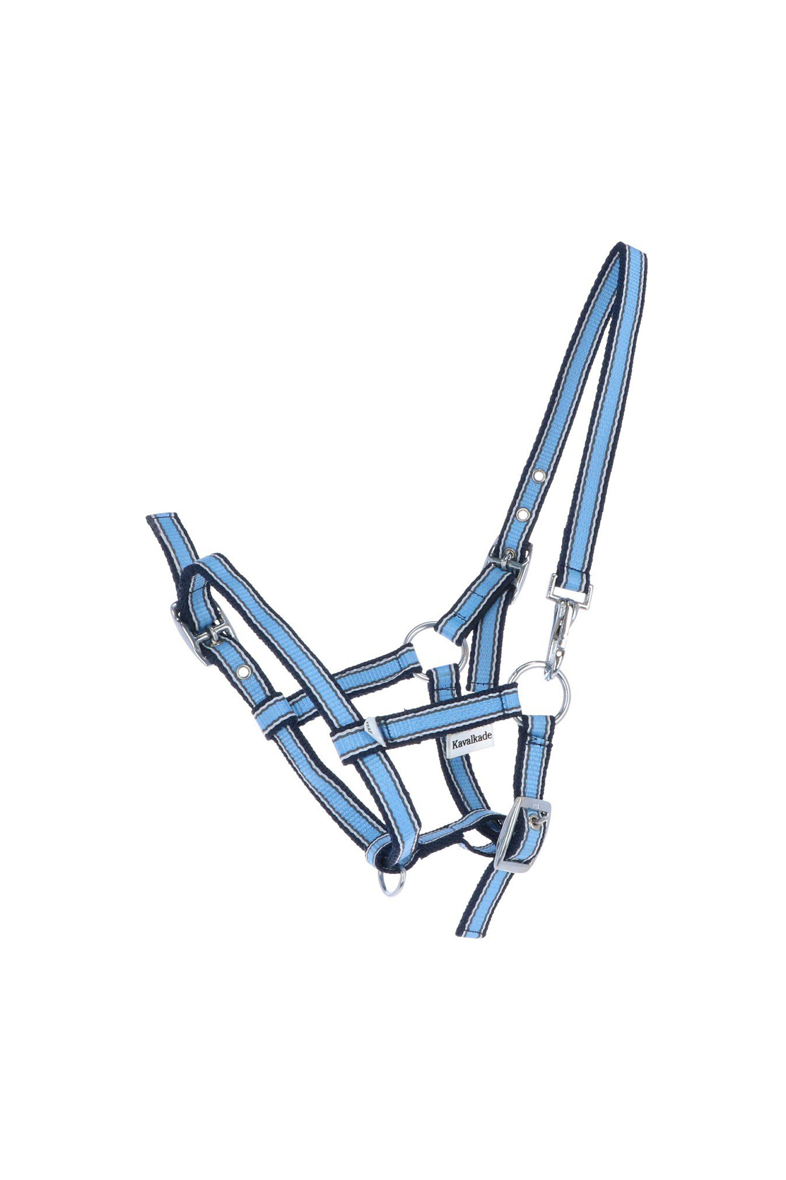 Blue Kantar dla źrebaka i roczniaka Kavalkade