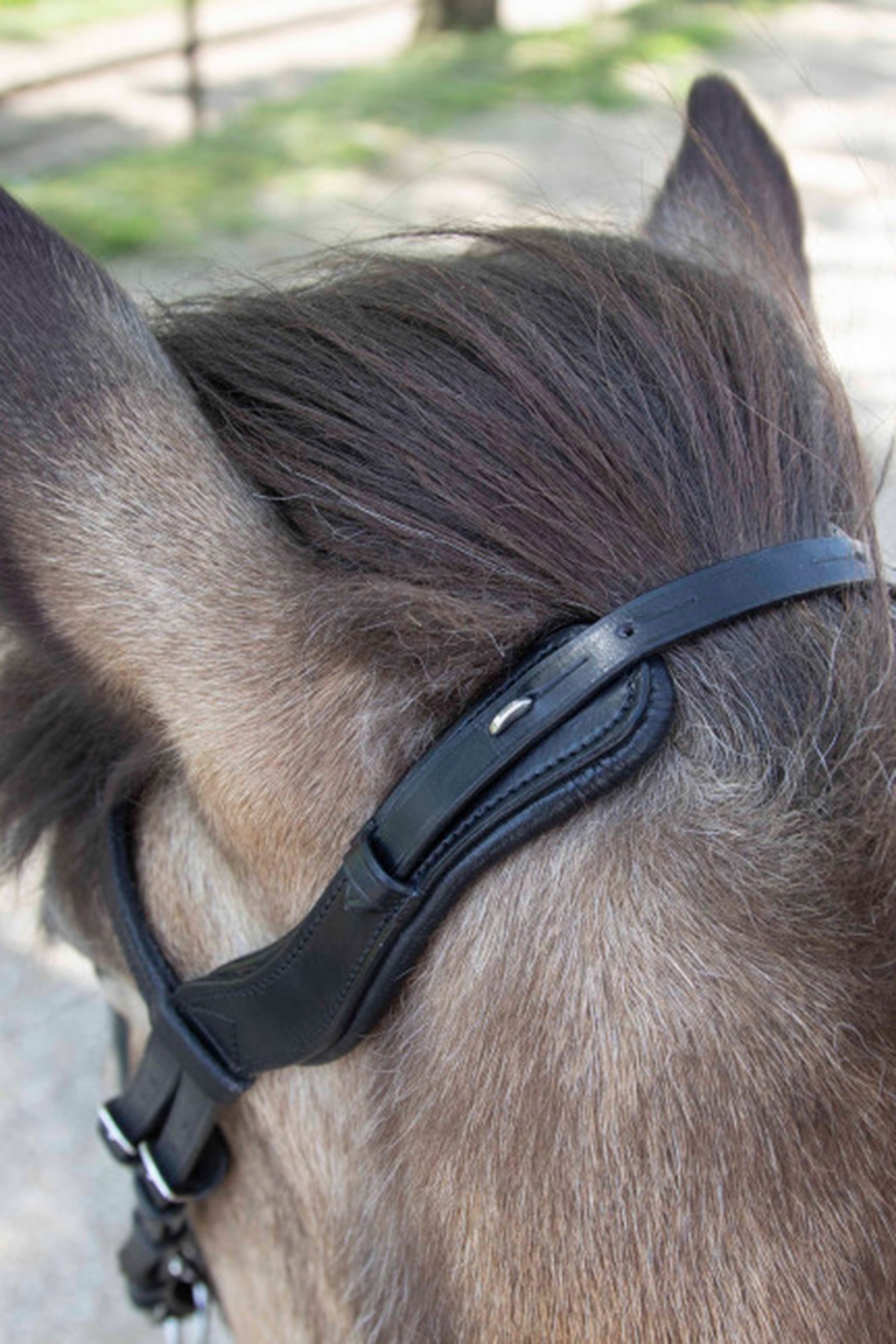 Waldhausen Anatomiczna Islandzka Uzda