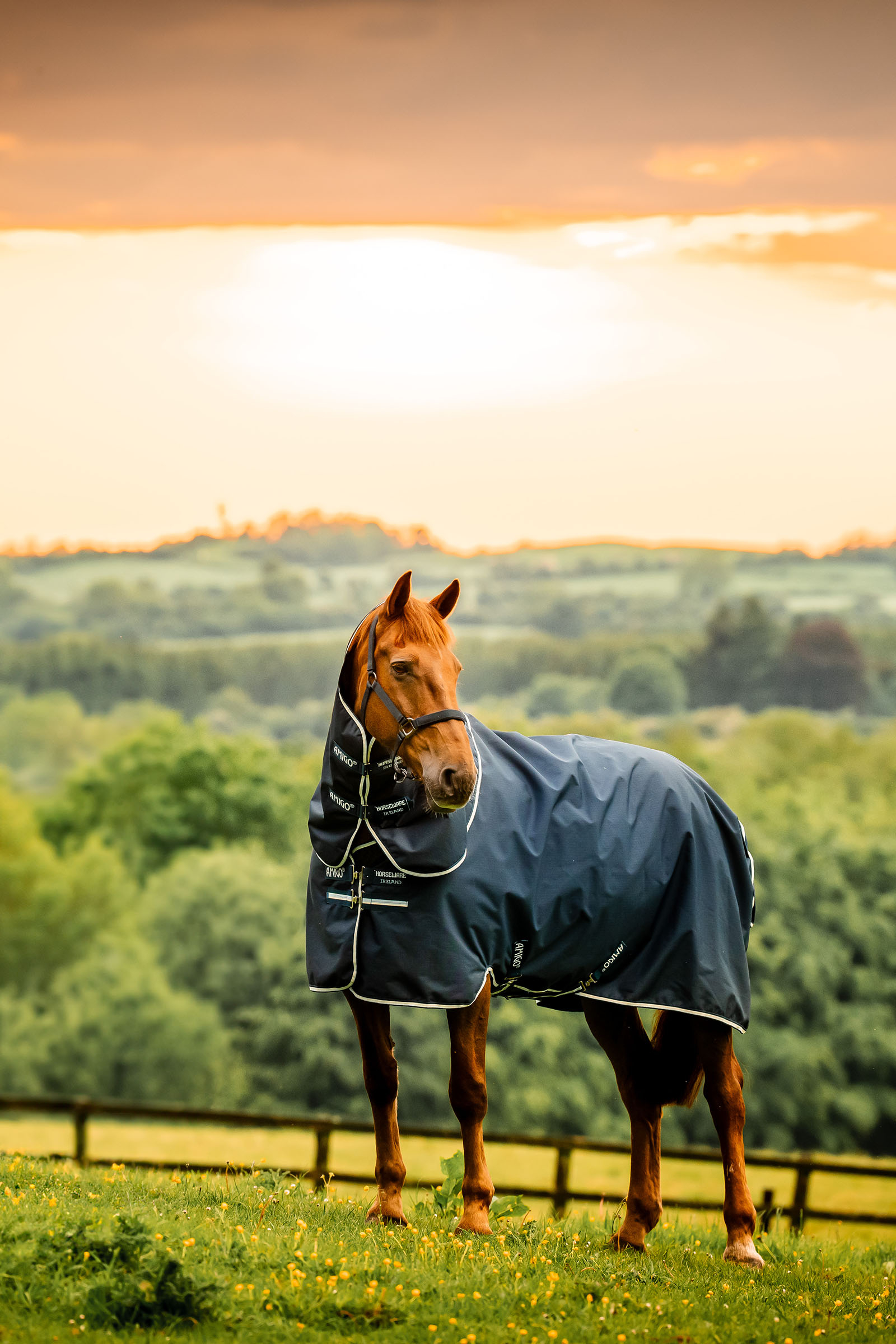 Witney Navy Horseware Amigo Ripstop 900D Plus derka padokowa z odpinanym elementem szyi, 100 g