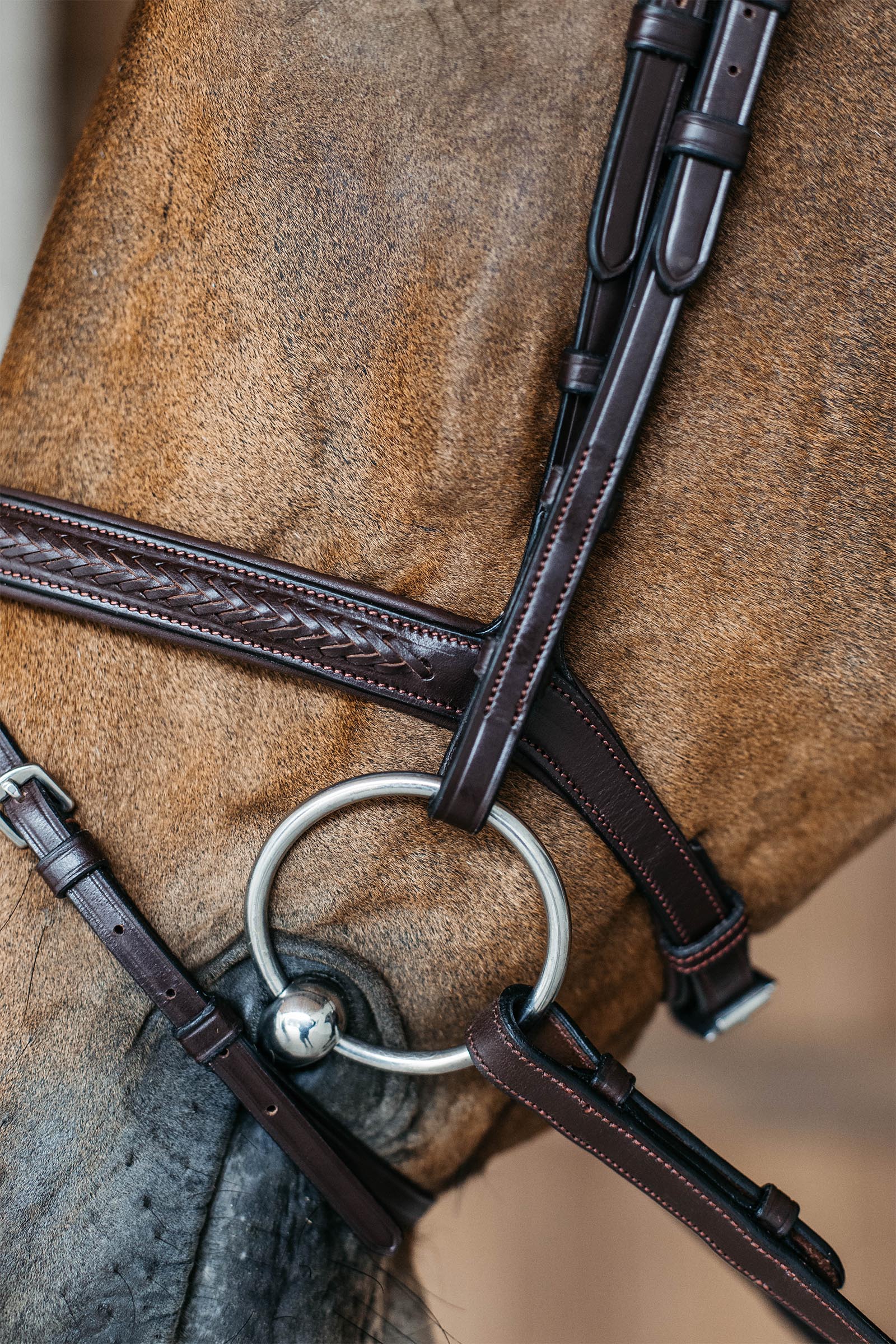 Dy'on New English ogłowie plecione z nachrapnikiem kombinowanym