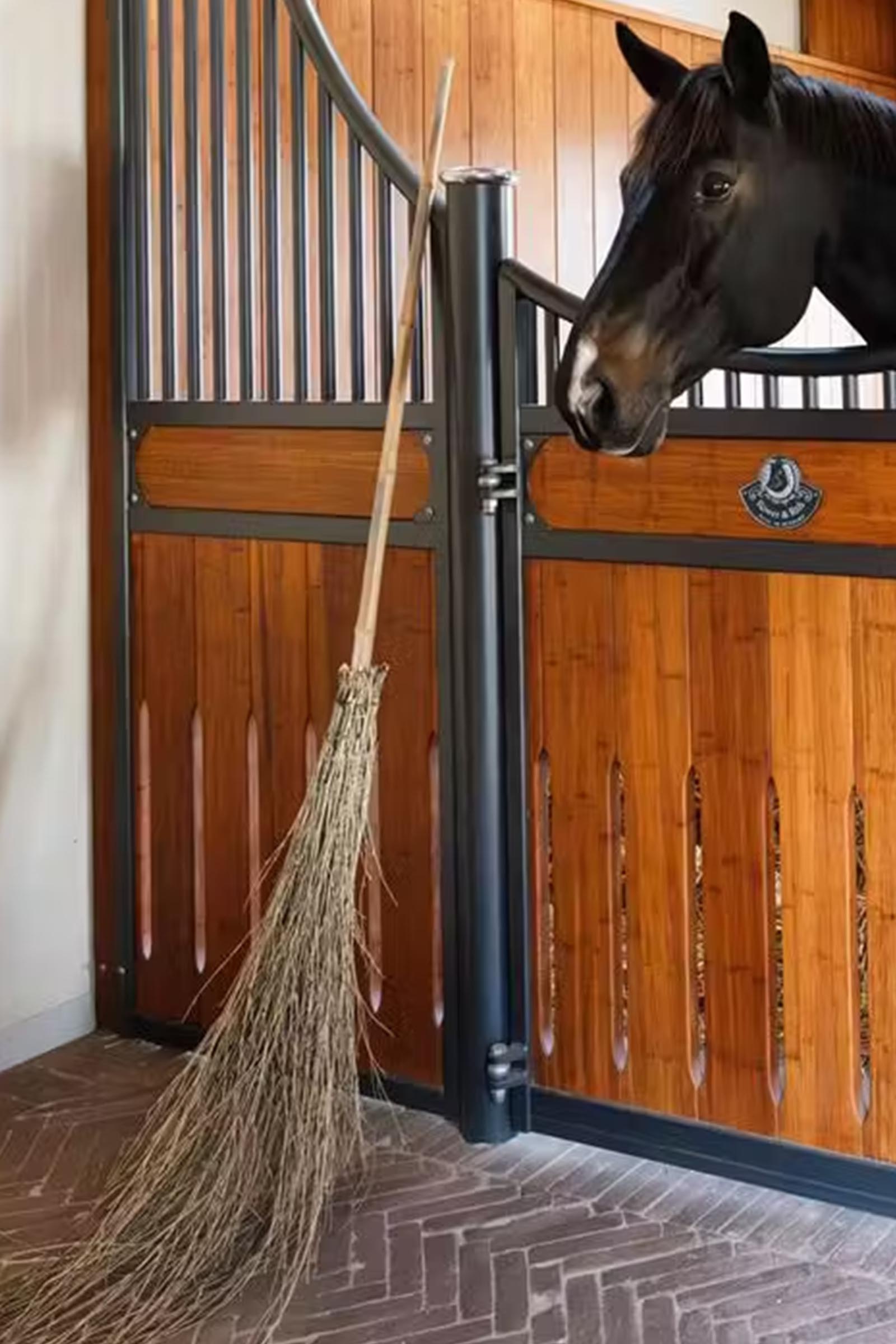 Grooming Deluxe miotła bambusowa  