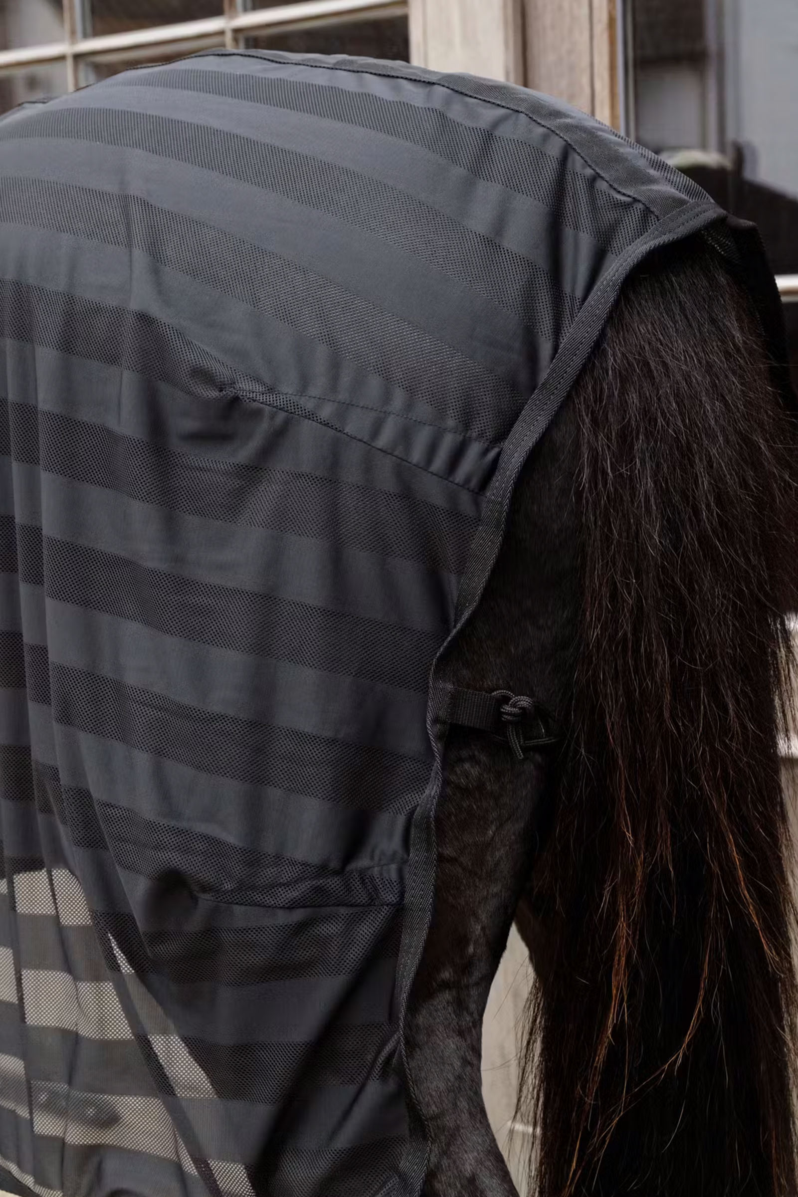 Kentucky Horsewear lekka, paskowana derka przeciw owadom z siateczki