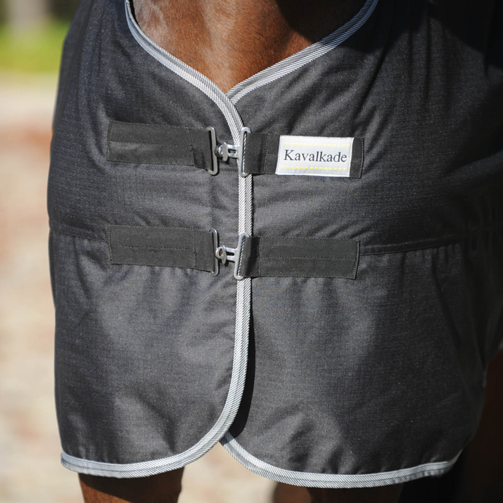 Derka Kavalkade Winnipeg, 50g