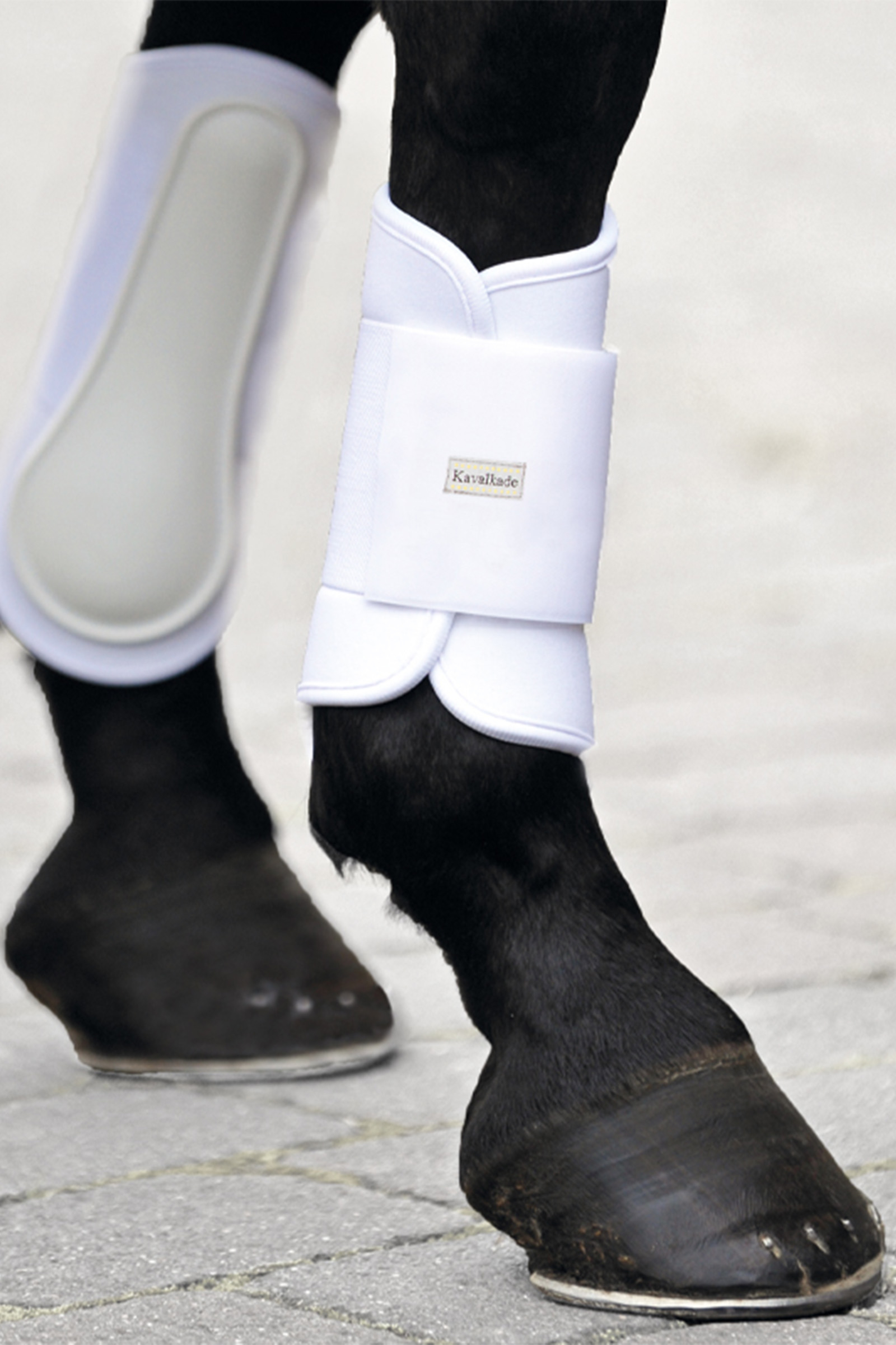 Miękkie buty do szczotkowania Kavalkade KavalPren, prz&oacute;d