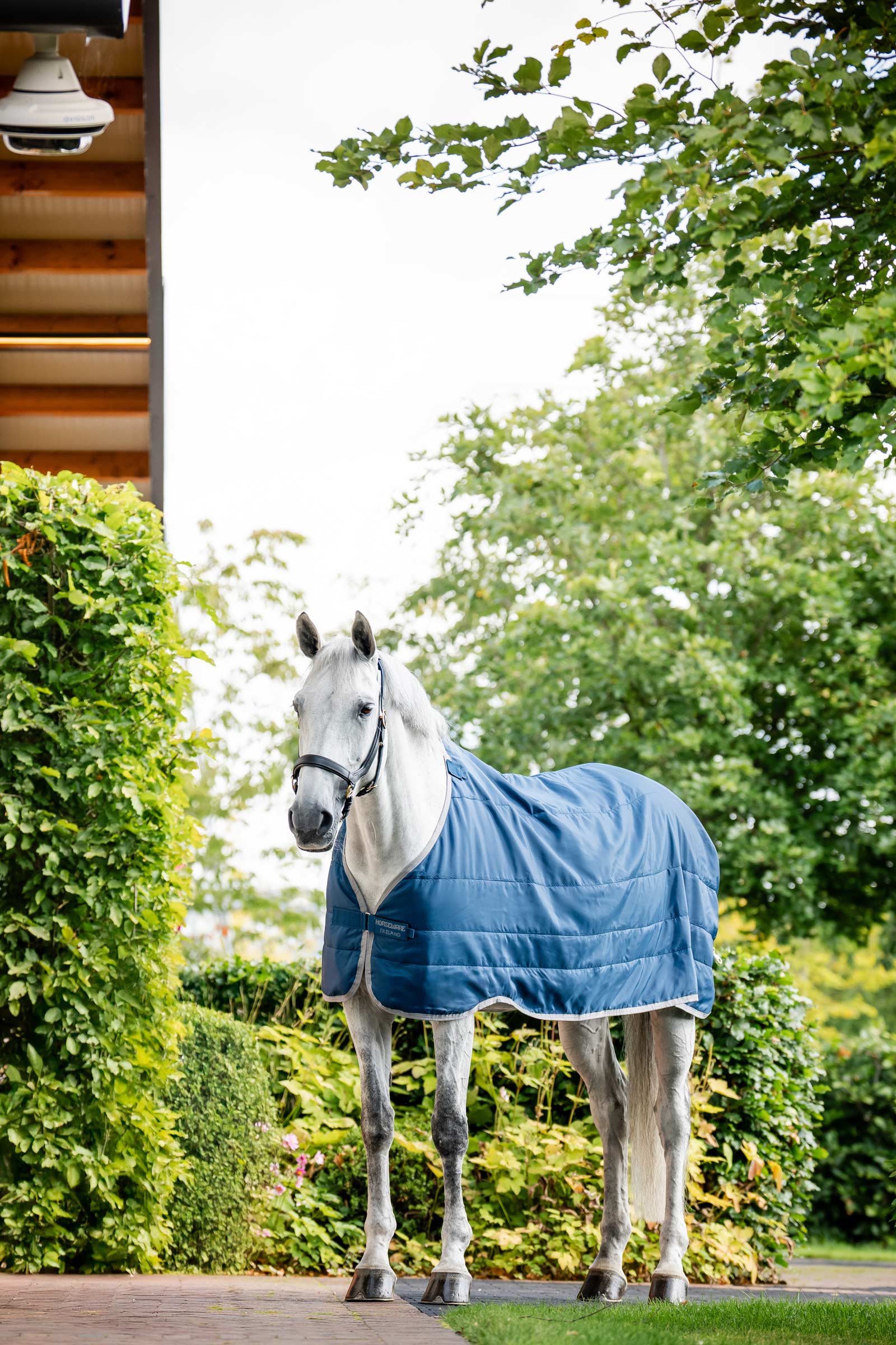 Horseware Ionic Therapy Podszewka 50g