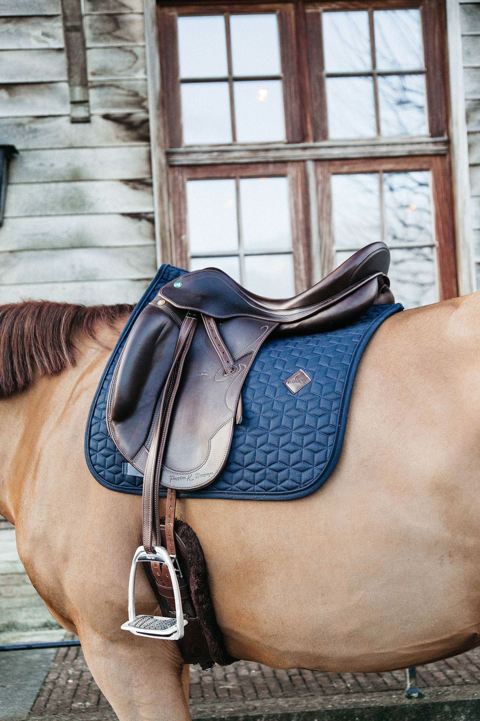 DB/AB Kentucky Horsewear Basic Czaprak ujeżdżeniowy