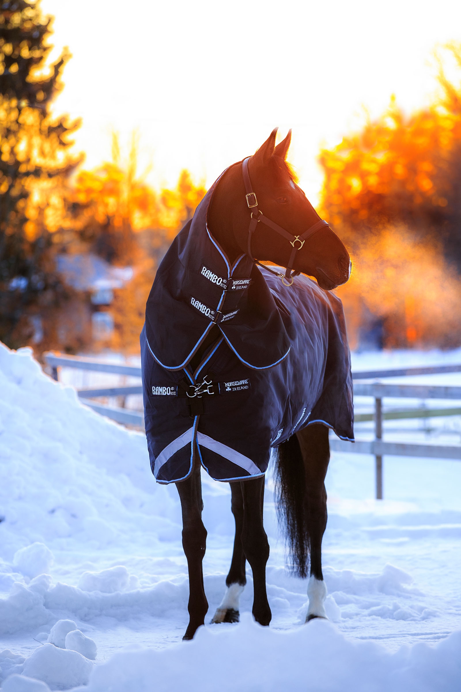 Derka padokowa Horseware Rambo Duo z odpinanym kapturem, 100 g