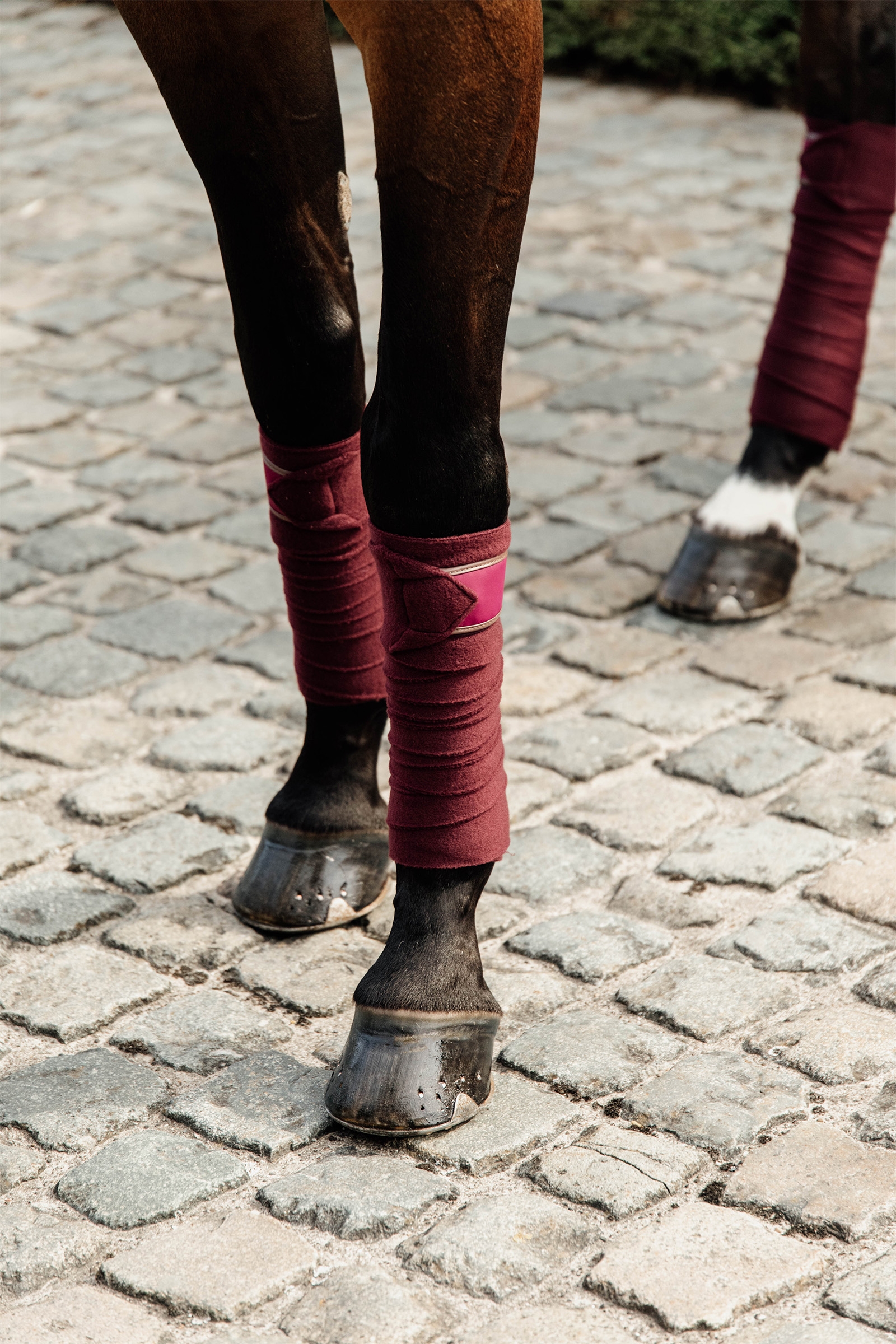 Polarowe koszulki polo Kentucky Horsewear