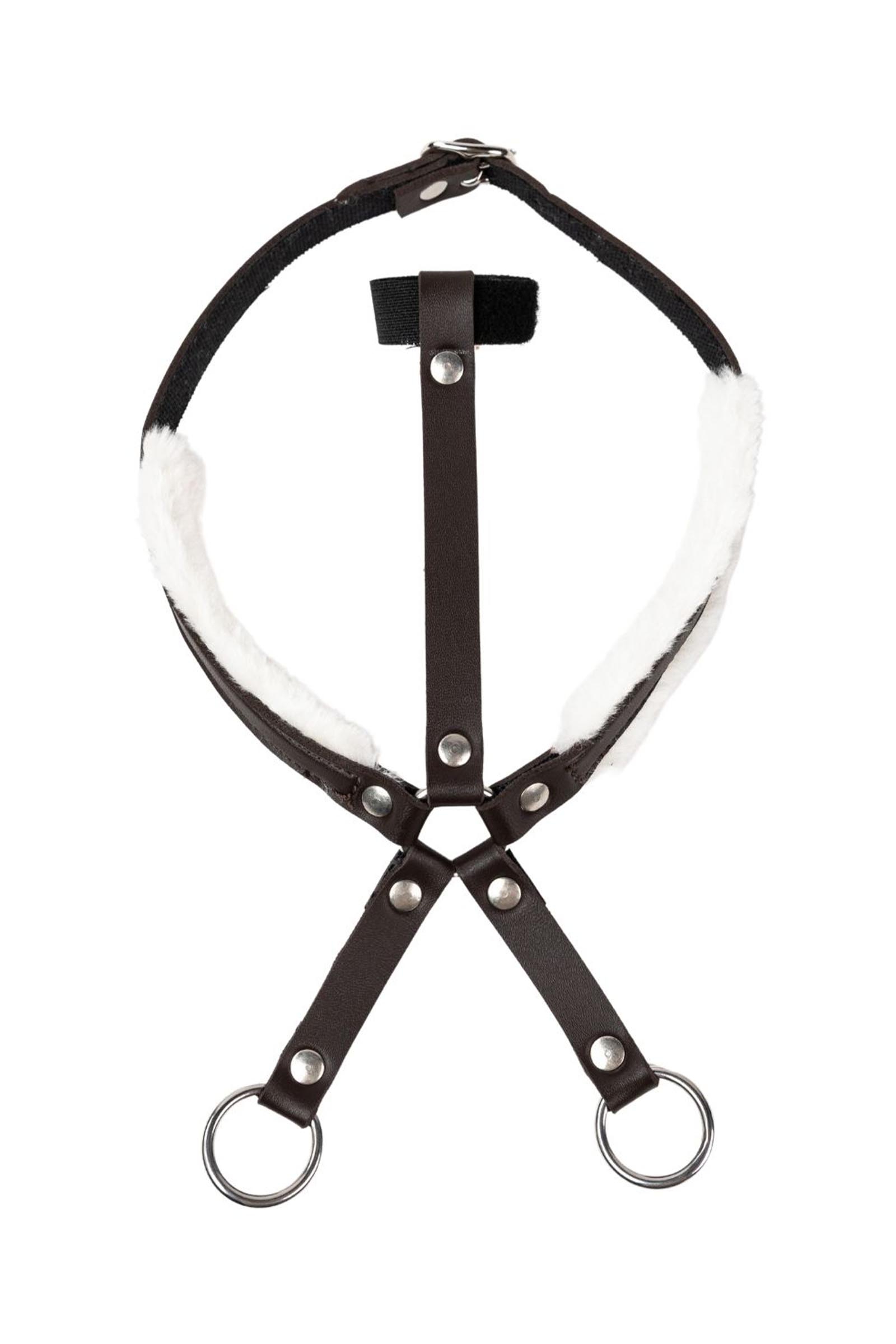 My Hobby Horse wytok