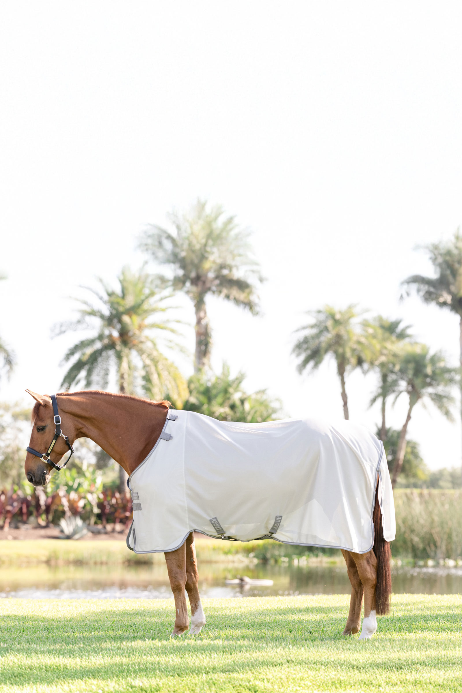 Horseware Amigo derka przeciw owadom z ochroną UV