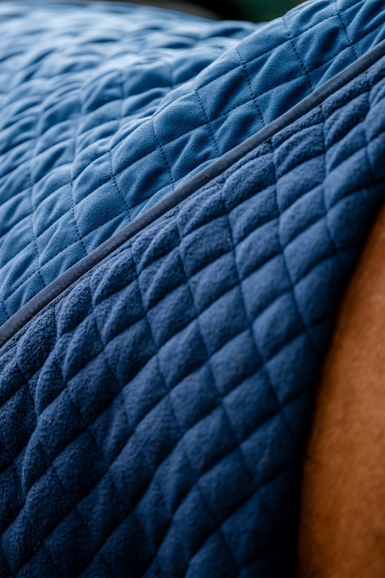 Horseware Signature Koc transportowy, 50g