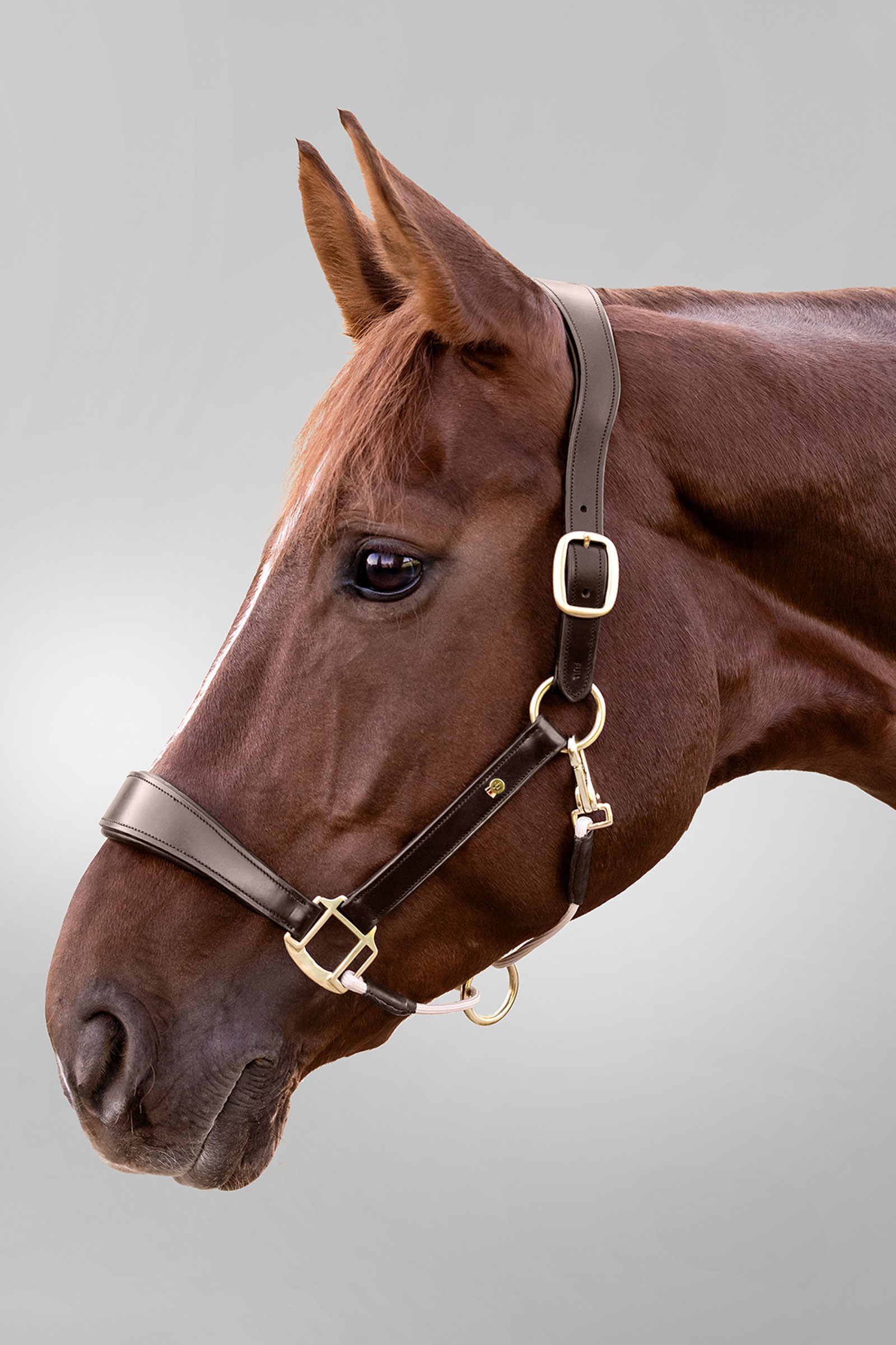 Royal Waldhausen S-Line sk&oacute;rzany kantar