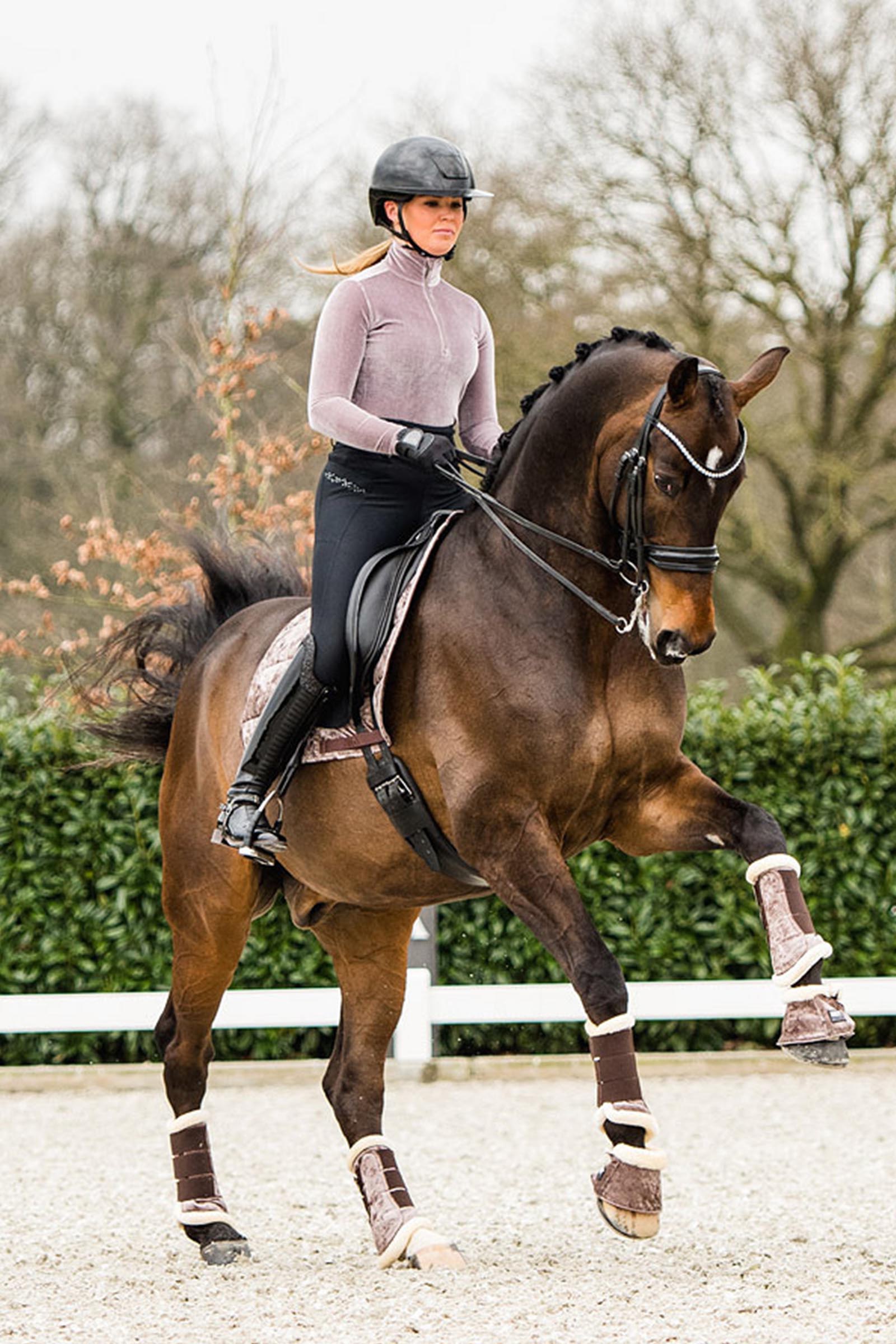 ANKY Jubilee Proficient Ochraniacze