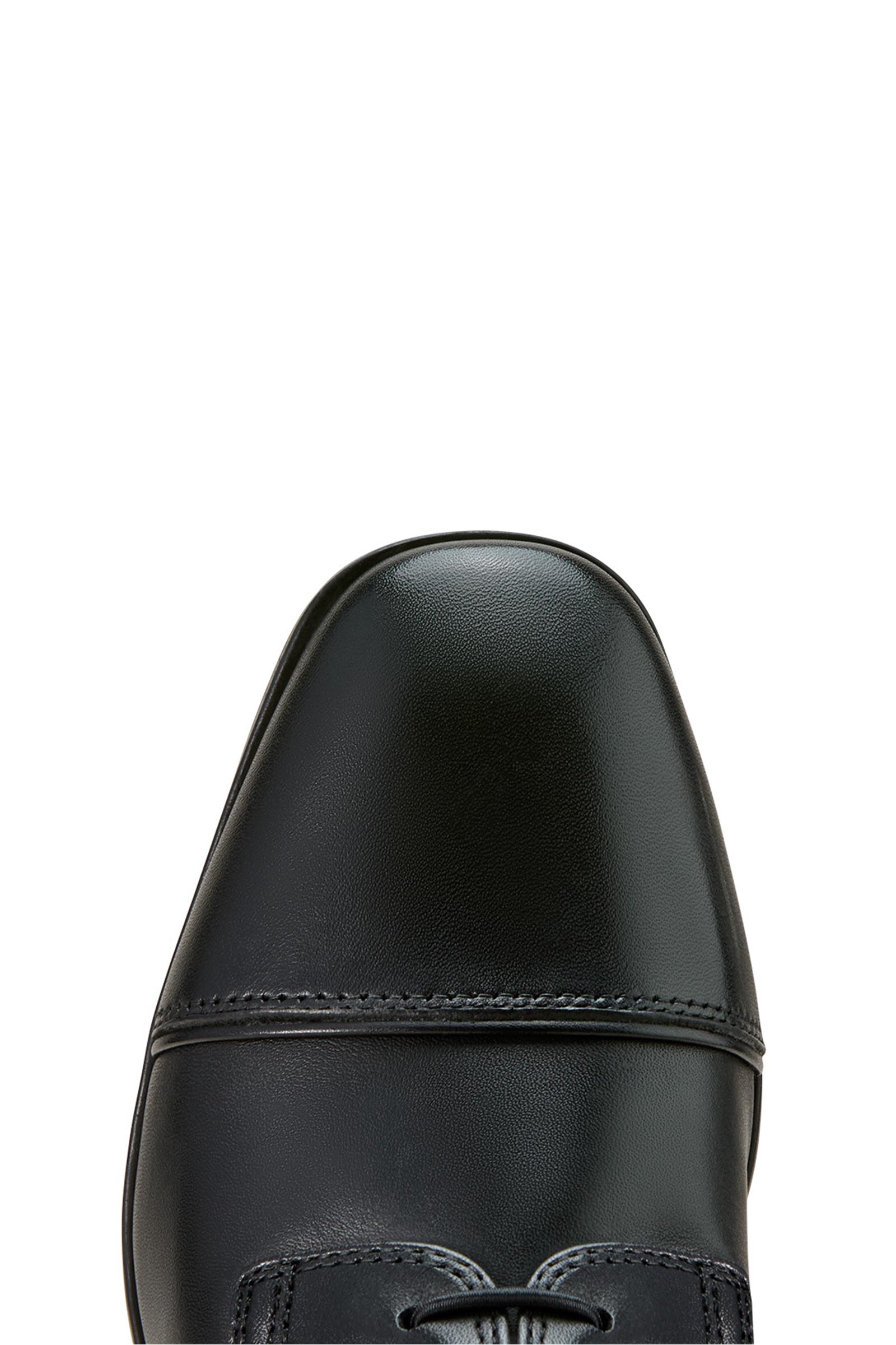 Ariat Palisade Lace damskie wysokie buty jeździeckie ze sznurowaniem