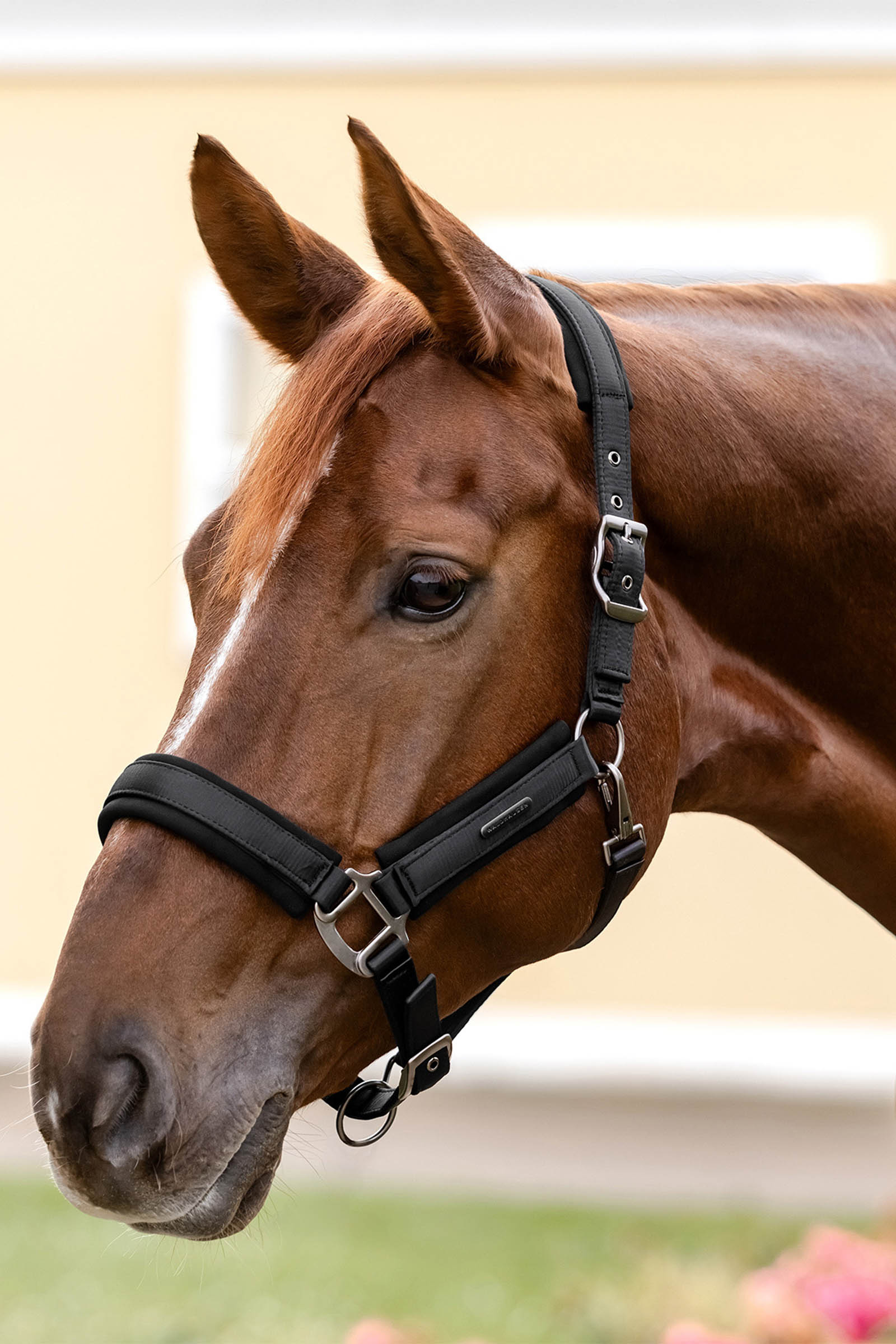 Waldhausen Soft Touch Halter 