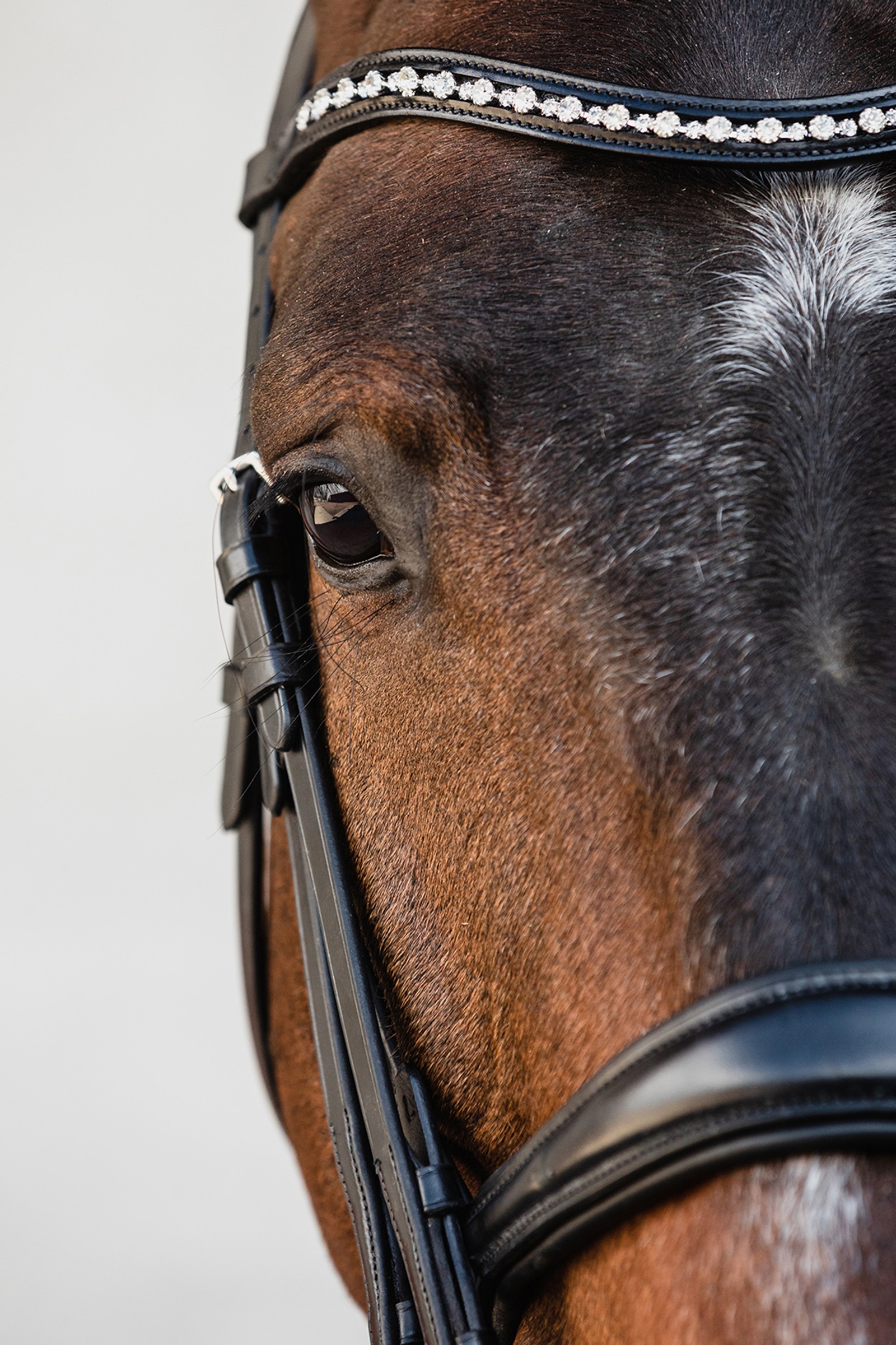 Schockem&ouml;hle Sports Milton Anatomiczne ogłowie podw&oacute;jne