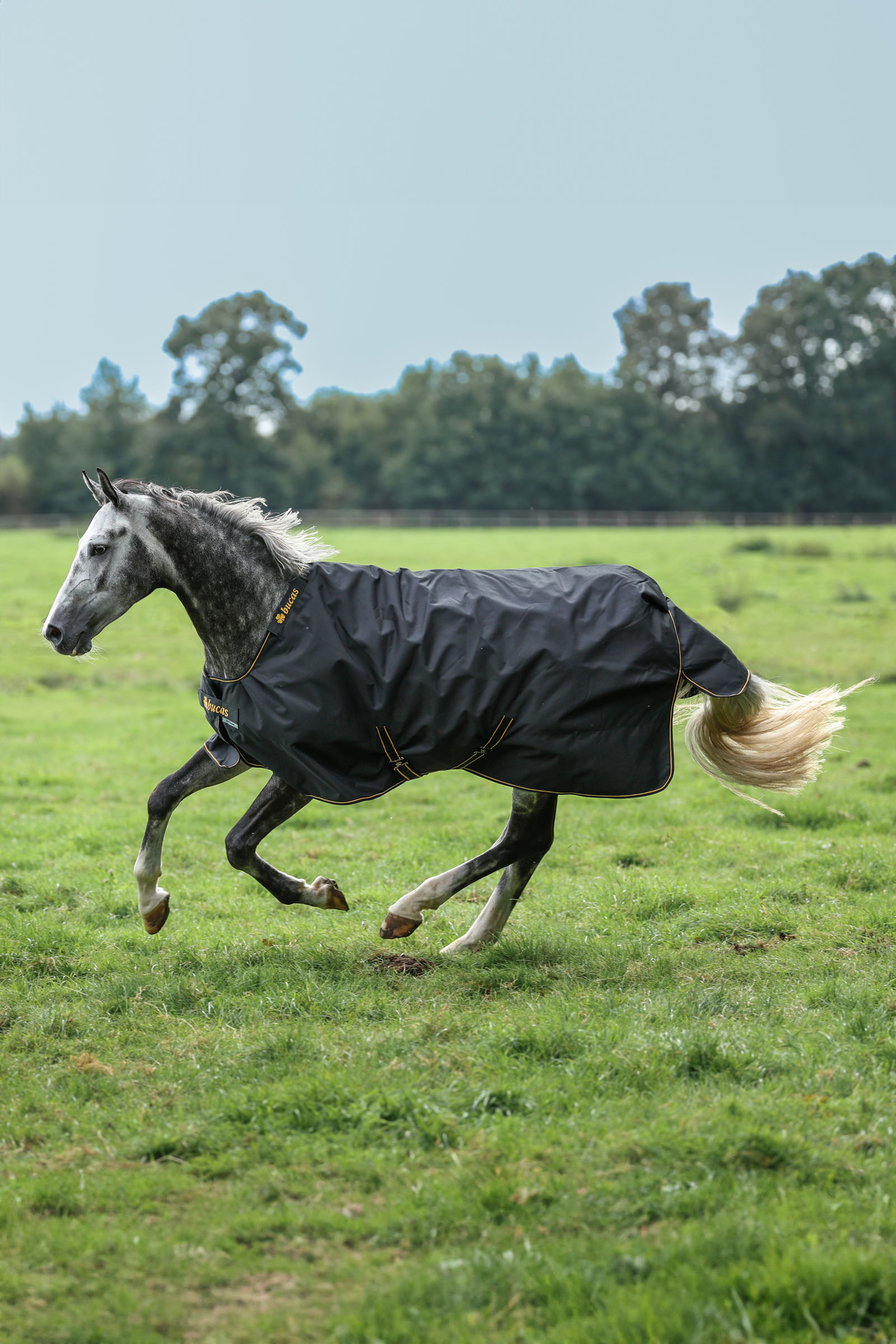 Bucas Irish Pony derka padokowa, 50g