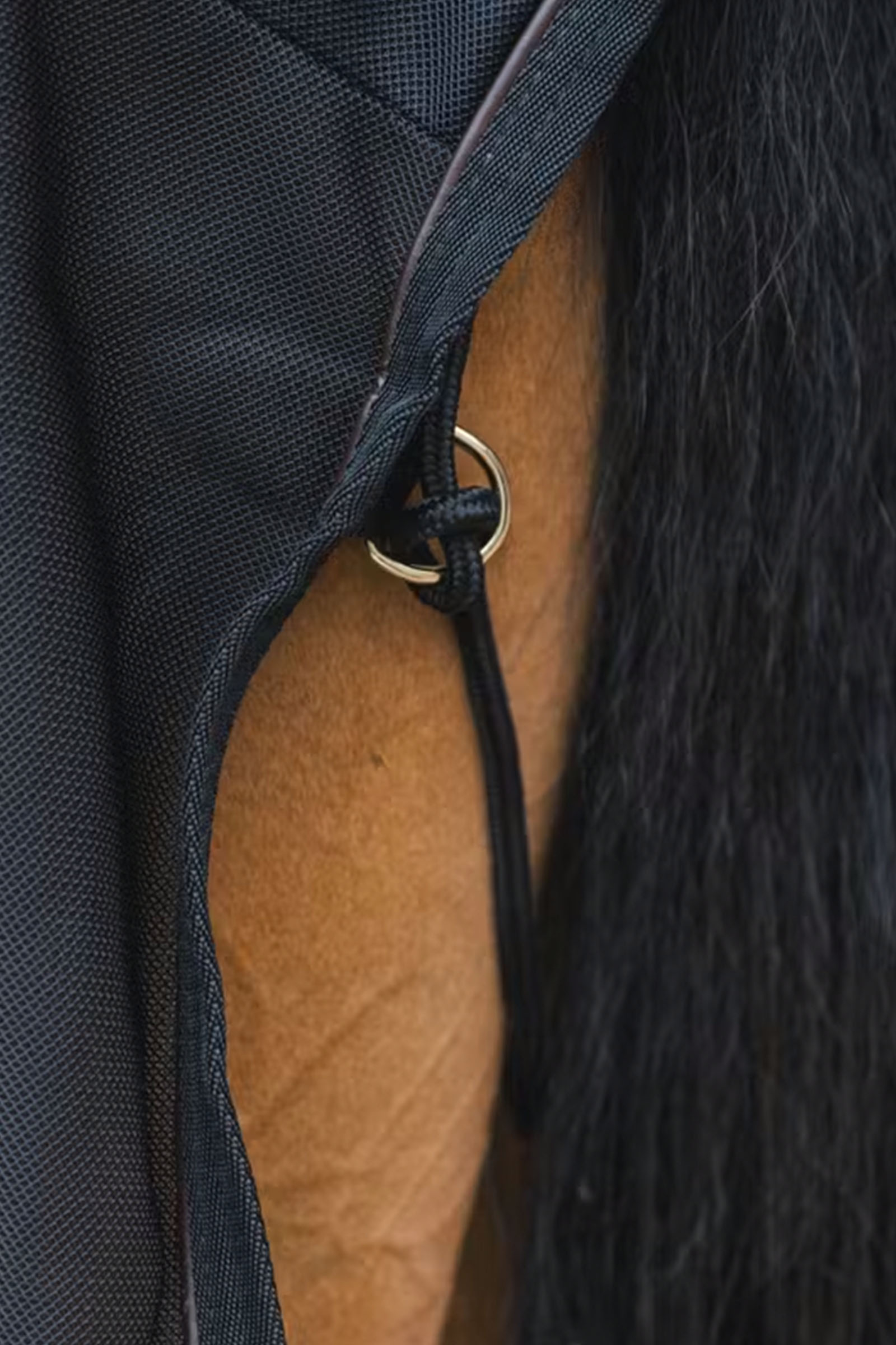 Kentucky Horsewear siateczkowa derka przeciw owadom