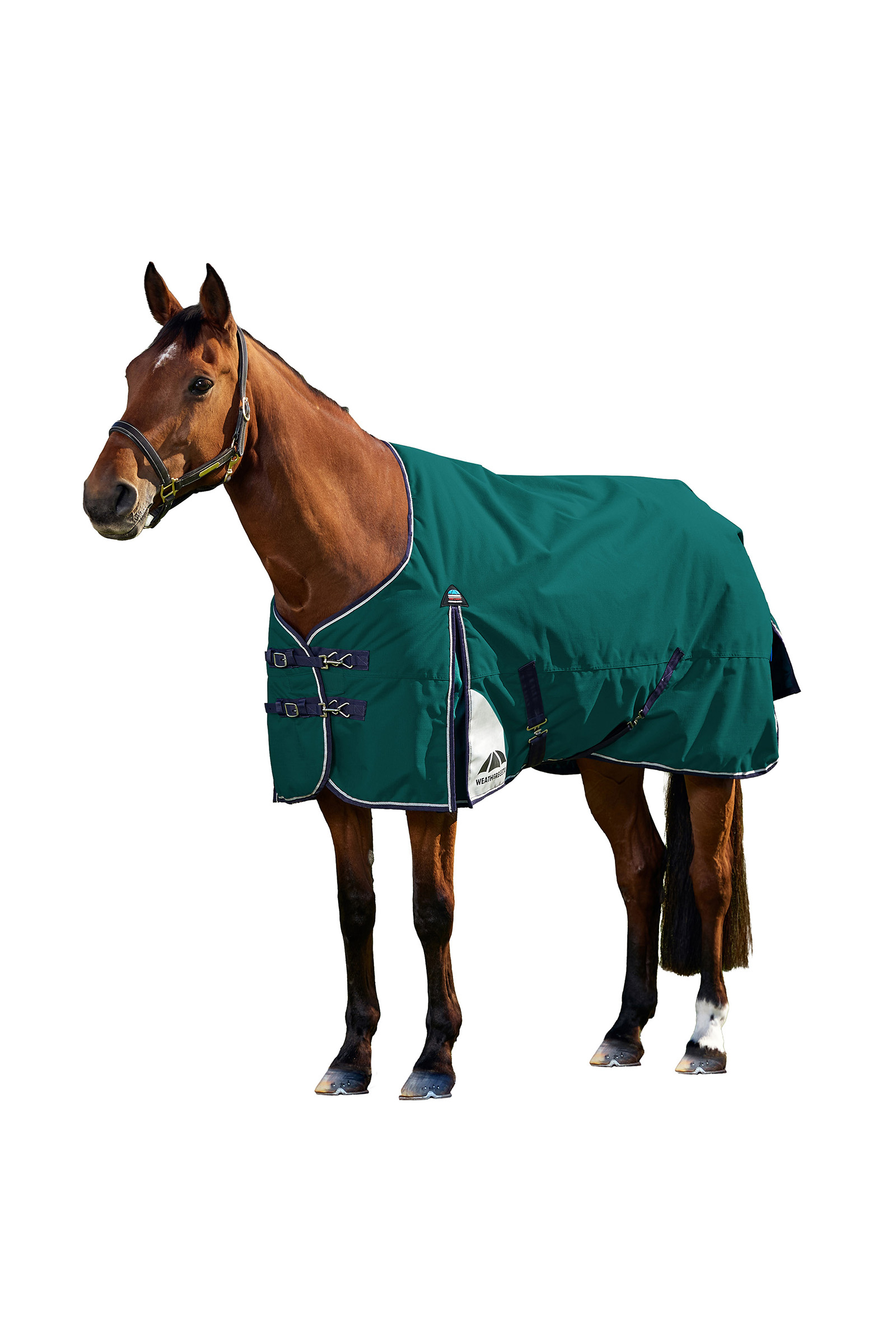 Weatherbeeta ComFiTecPlus Dynamic Turnout Detach-A-Neck 100G