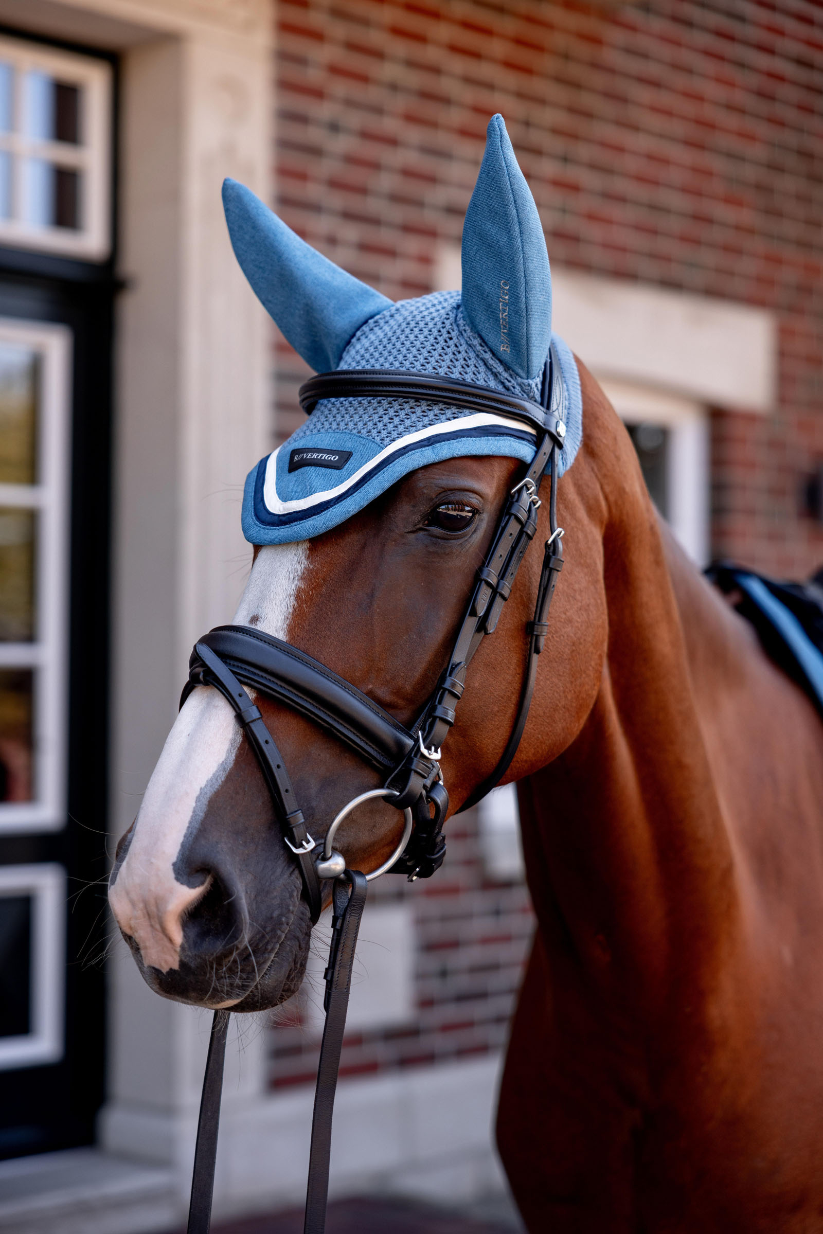 B Vertigo High Altitude siatki na uszy