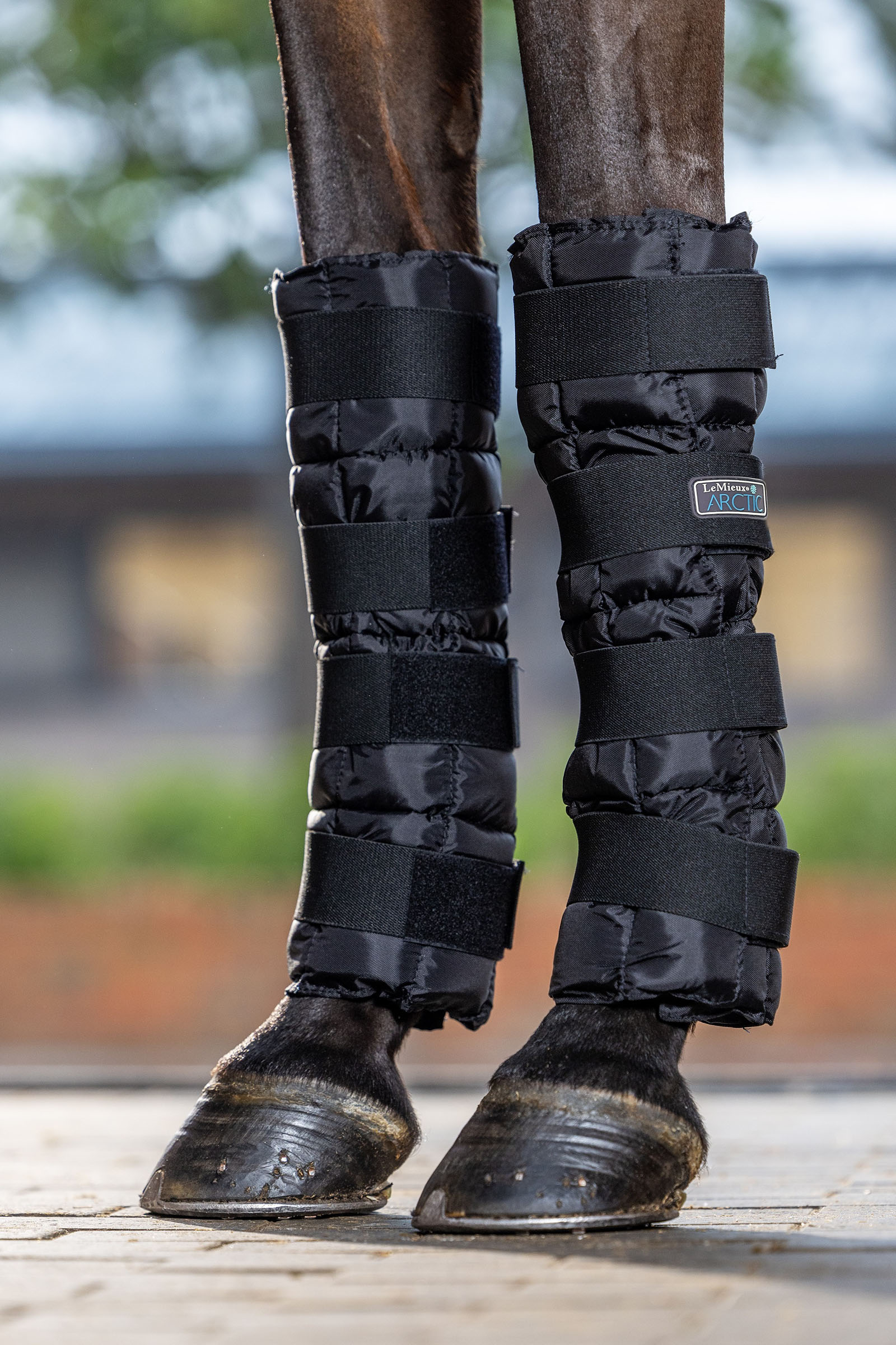 LeMieux Arctic Ice chłodzące ochraniacze (para)