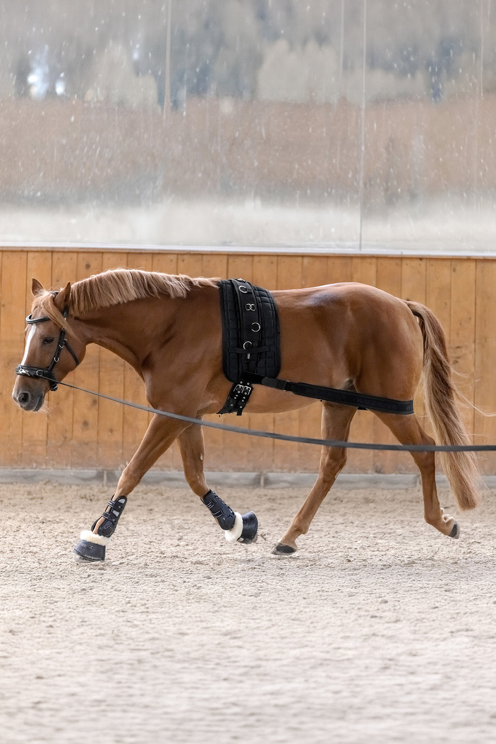 Waldhausen bandaż body do aktywacji zadu