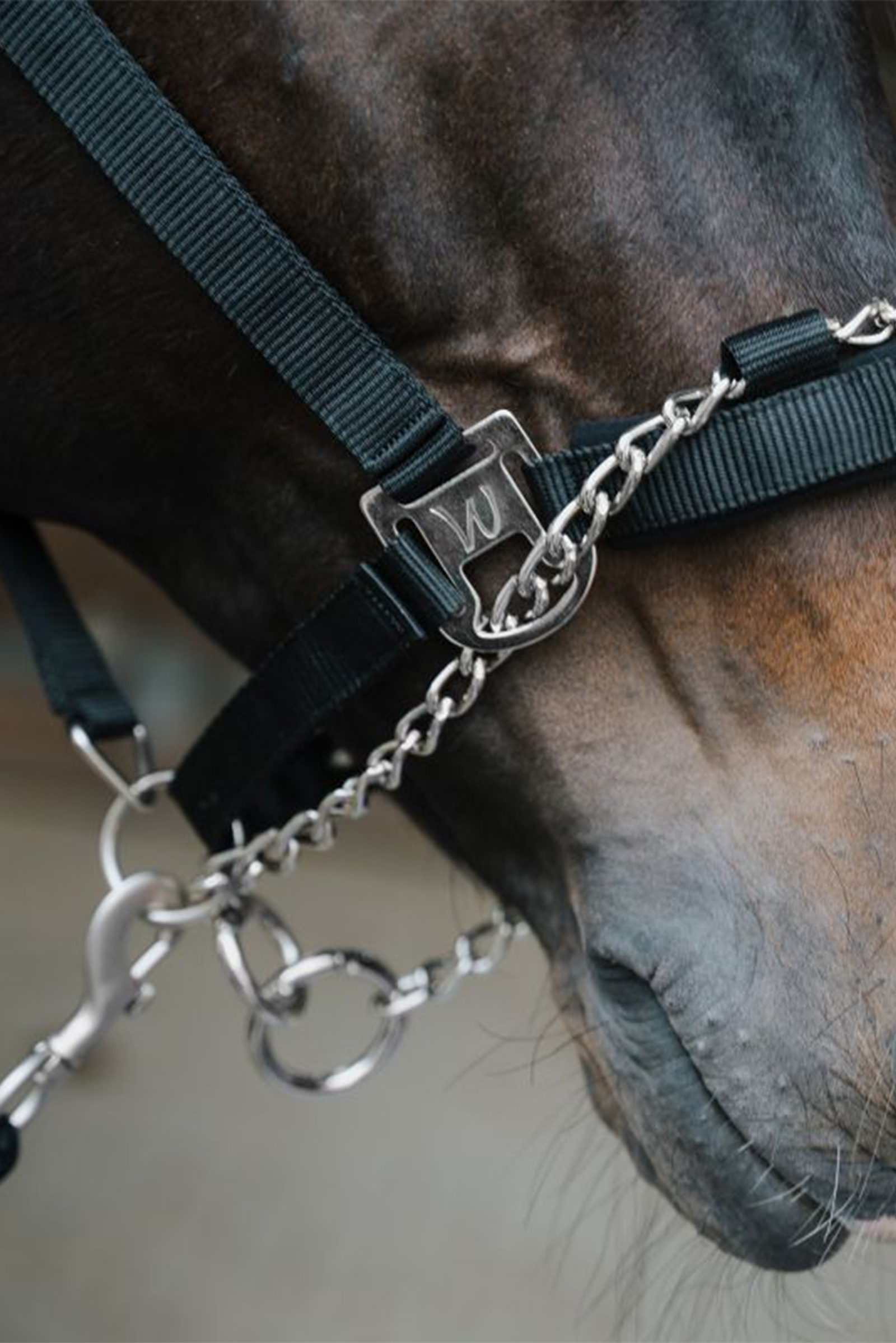 Waldhausen Pro Safety ogłowie