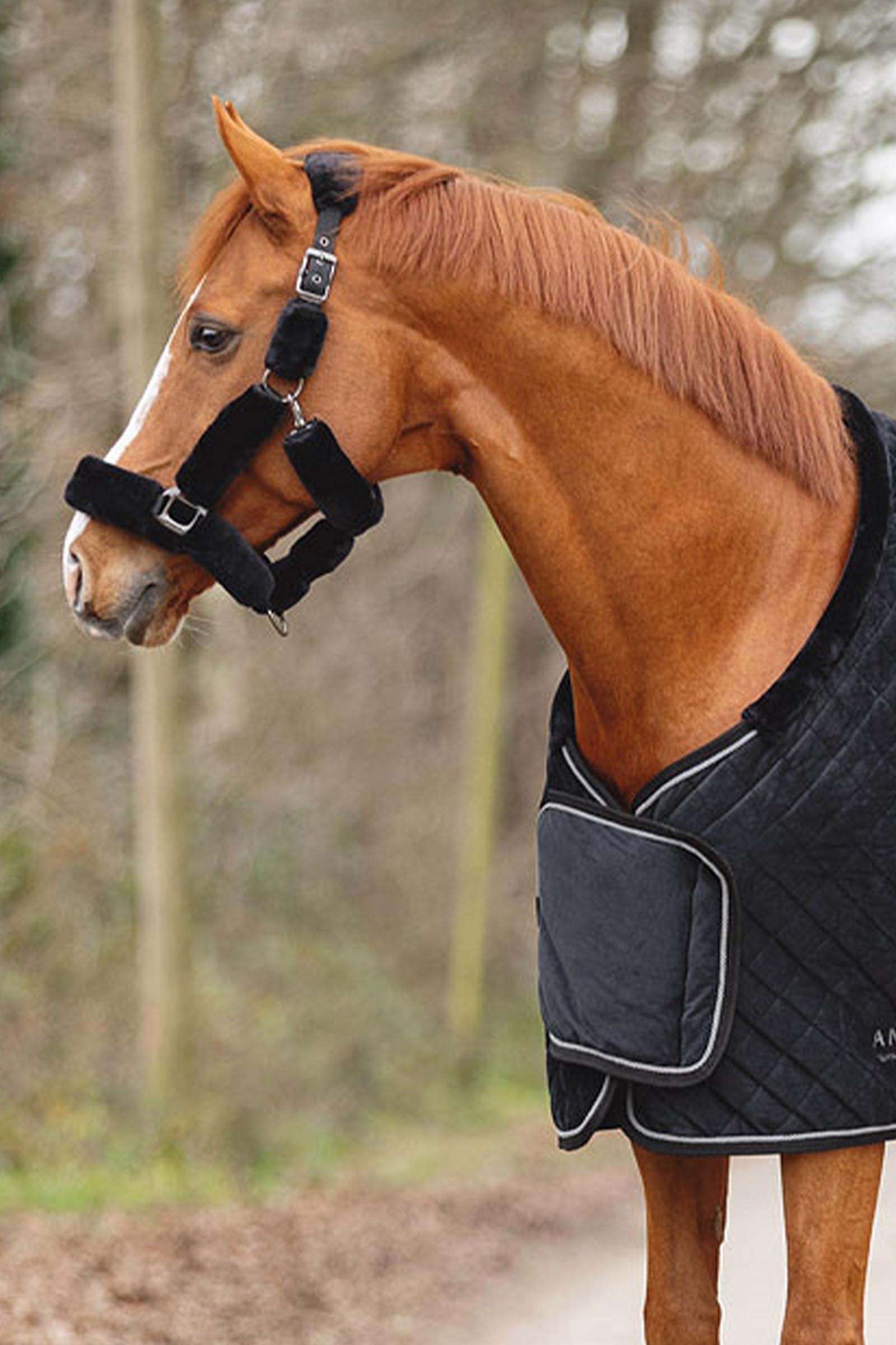 ANKY Victory Derka Pokazowa, 200 g