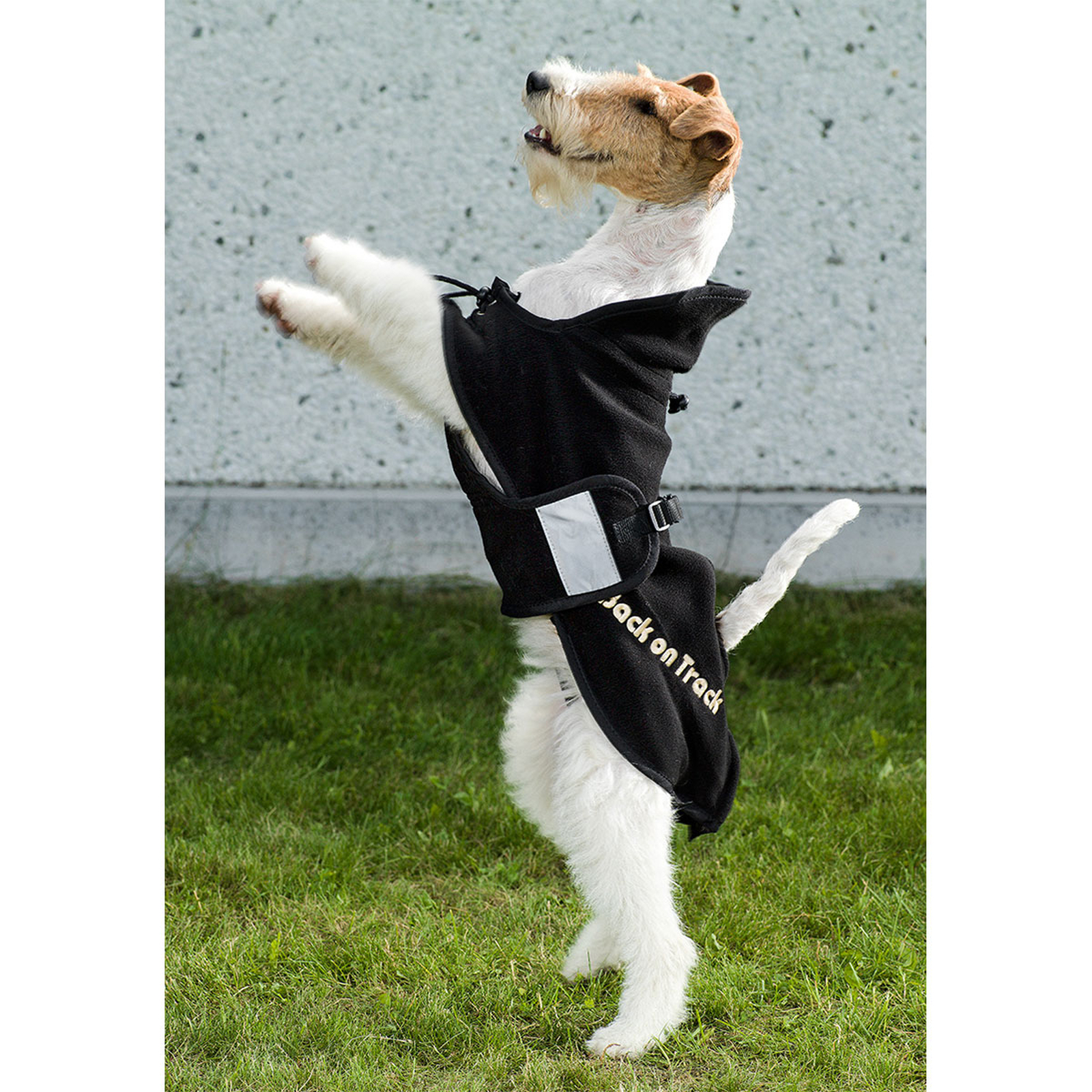 Derka polarowa dla psa Back on Track, 21-34