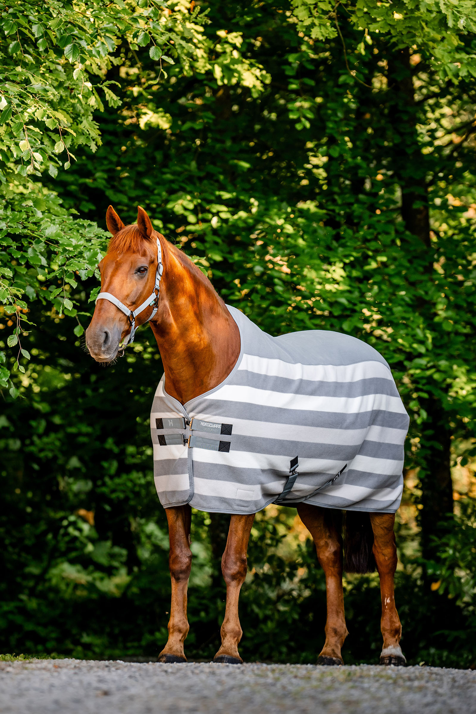 Horseware Newmarket Fleece Derka osuszająca