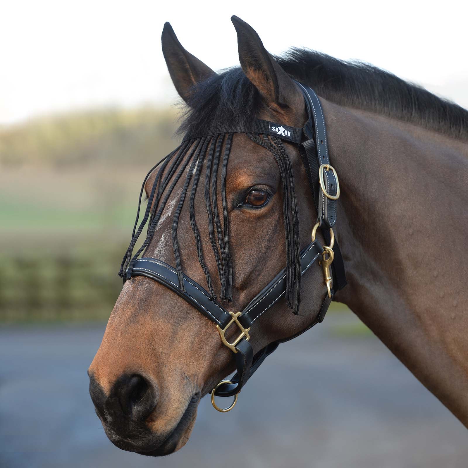 Saxon Frędzle przeciw owadom