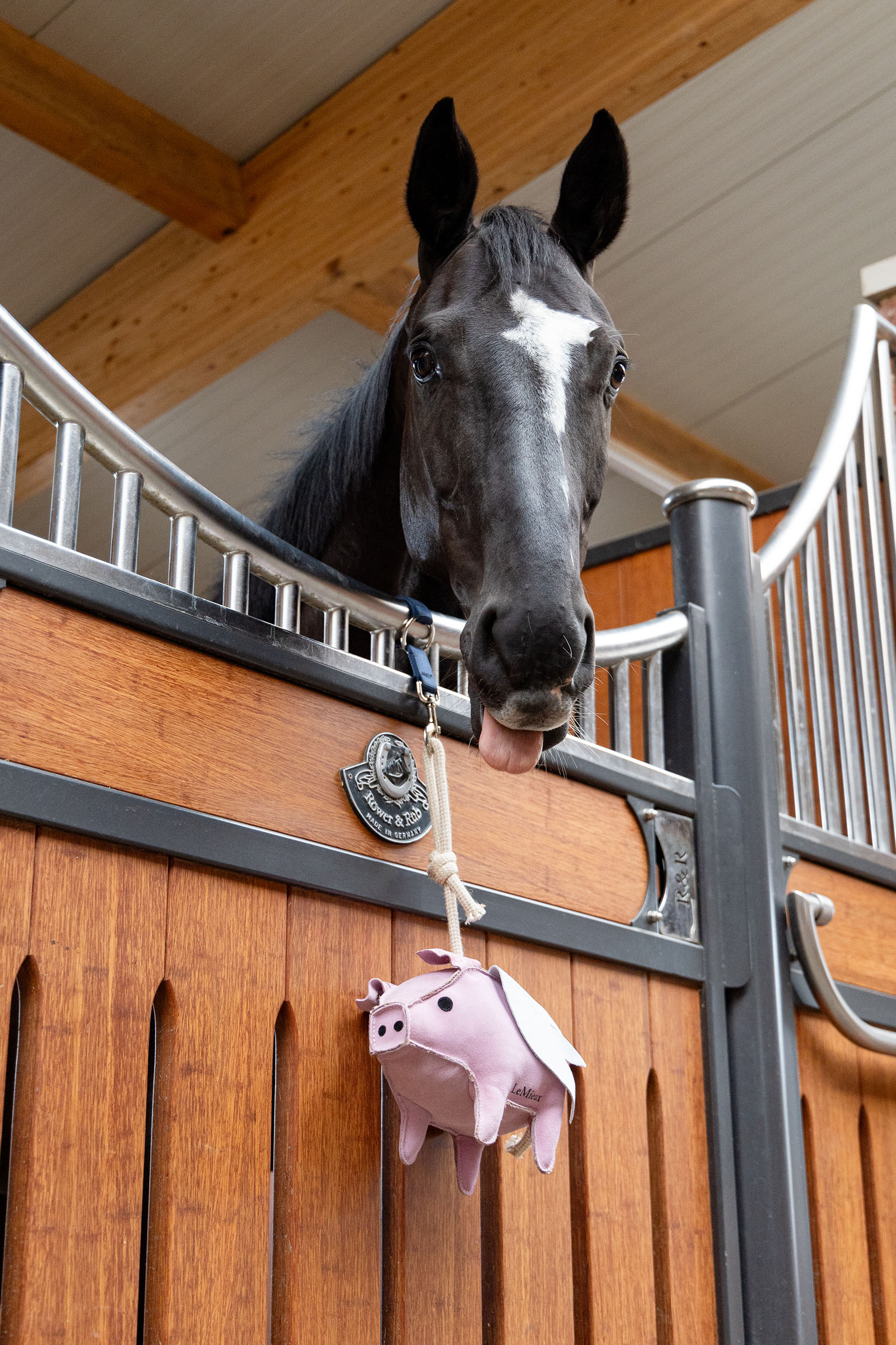 LeMieux zabawka dla konia latająca świnka