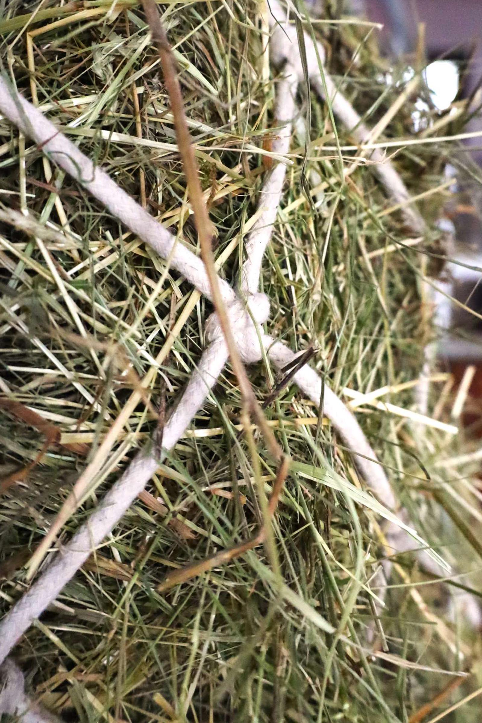 USG bawełniana siatka na siano, oczka 10 x 10 cm