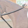 Kavalkade Webbed draw reins with leather loop
