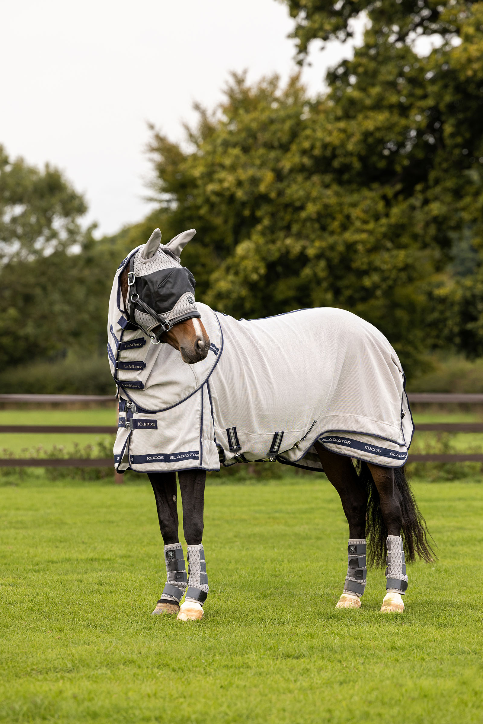 LeMieux Kudos Gladiator derka przeciwko owadom