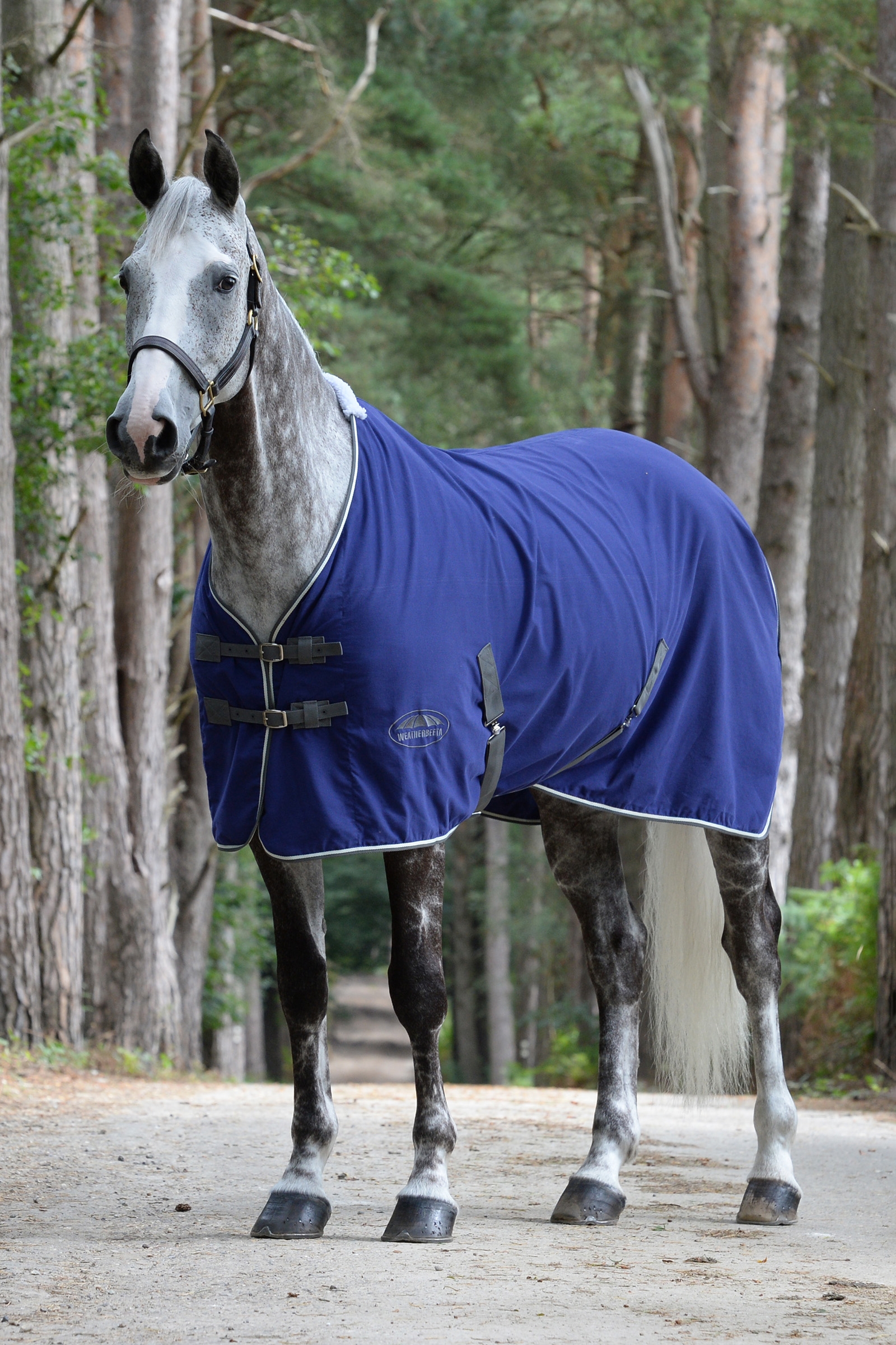 Weatherbeeta Bawełniana derka konkursowa