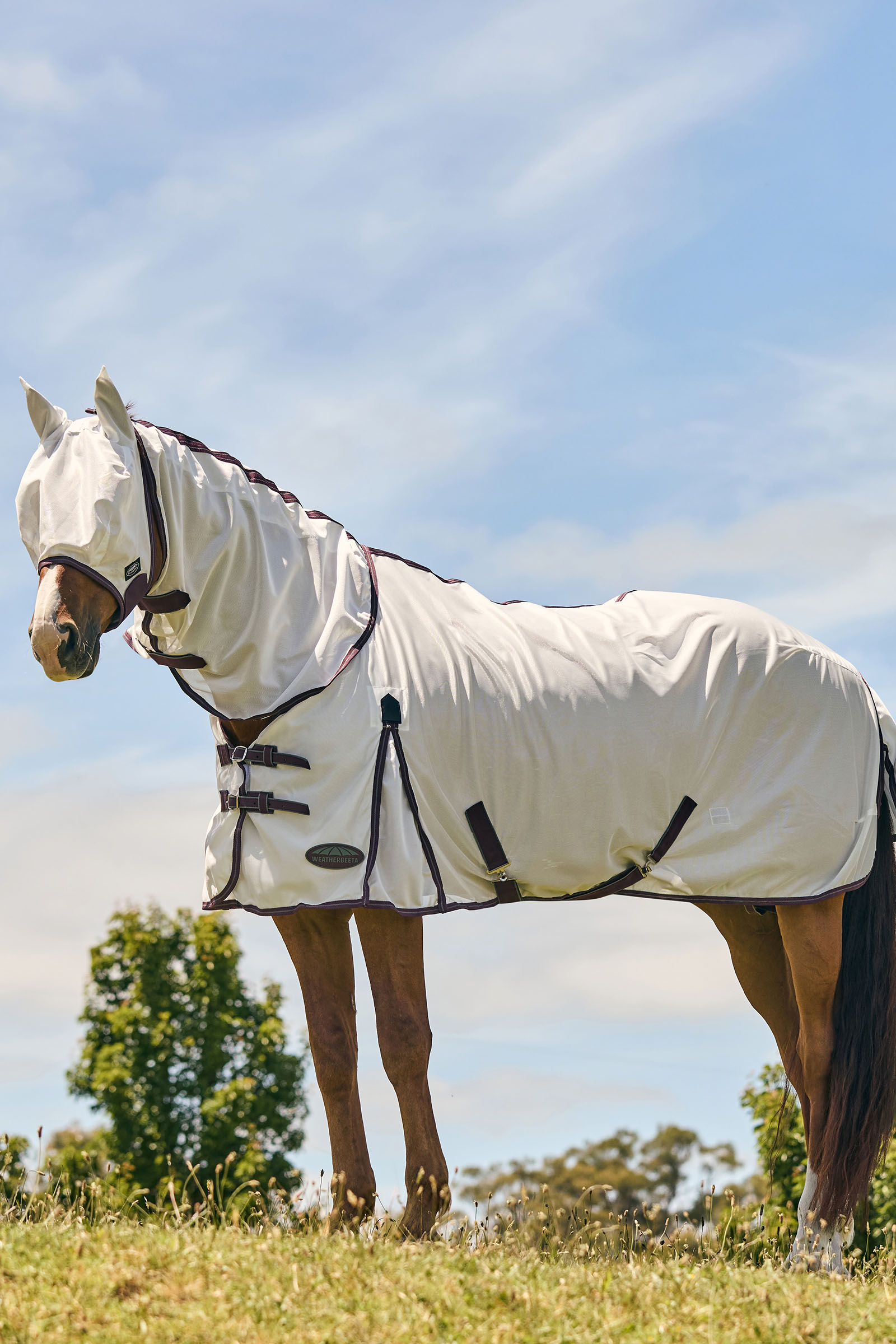 Weatherbeeta Comfitec Essential maska z siatki