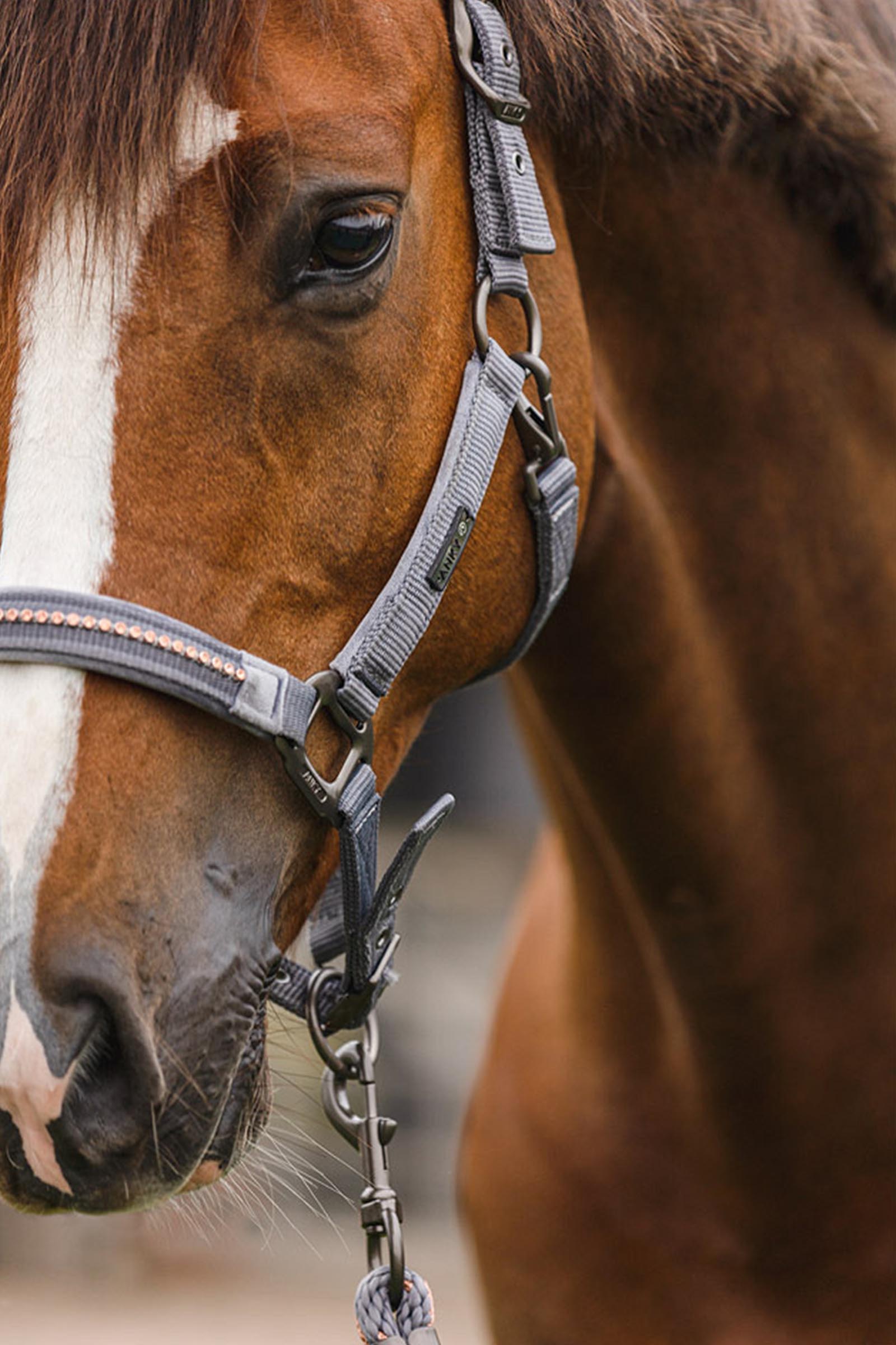 ANKY Stones Kantar i Uwiąz, zestaw