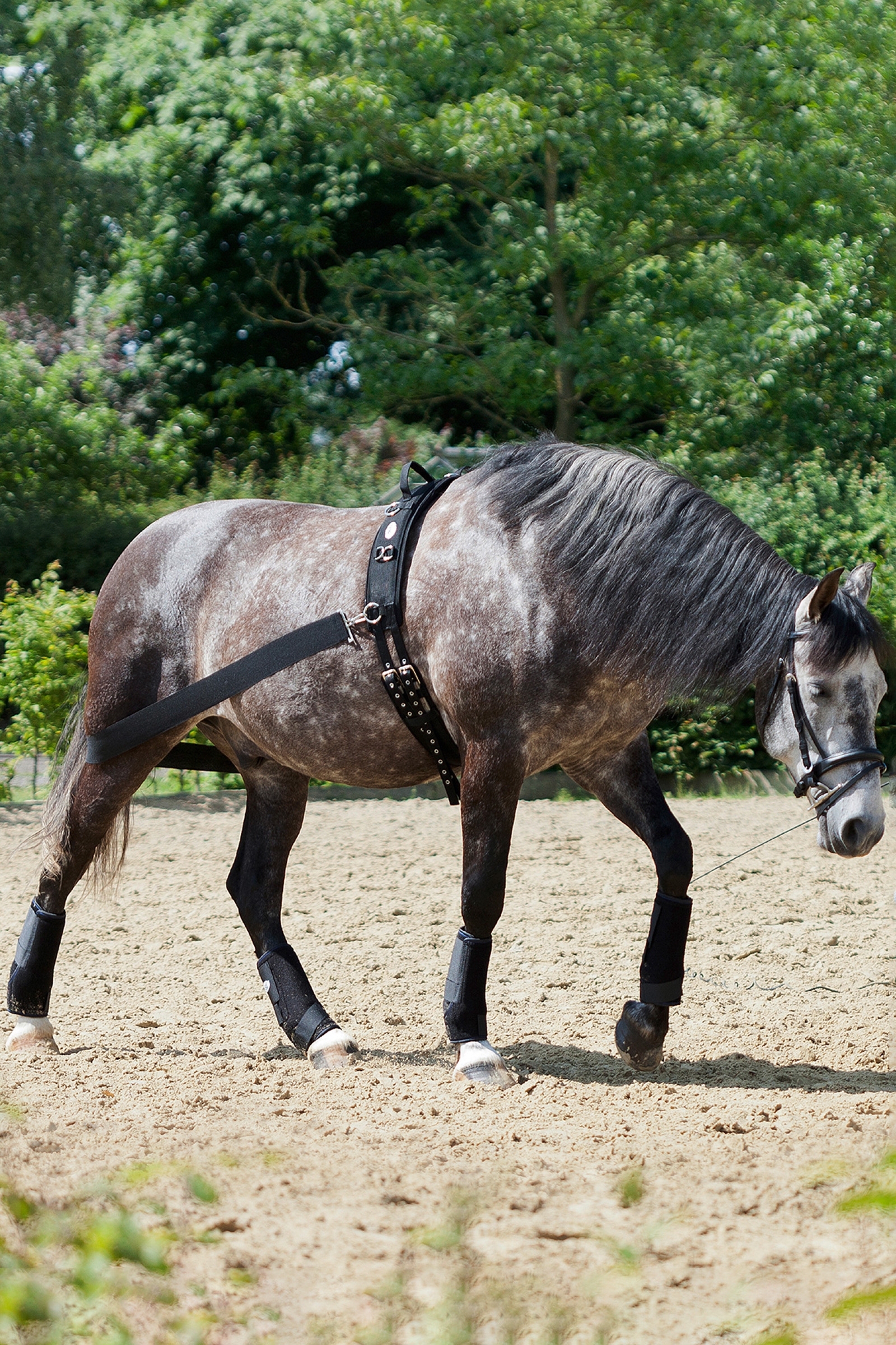 USG CoraLe System treningowy