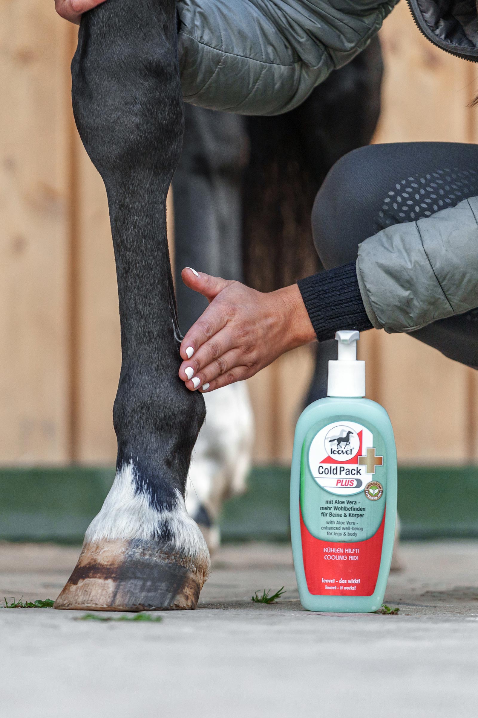 Leovet Cold Pack Plus  500ml - Żel regenerująco-chłodzący