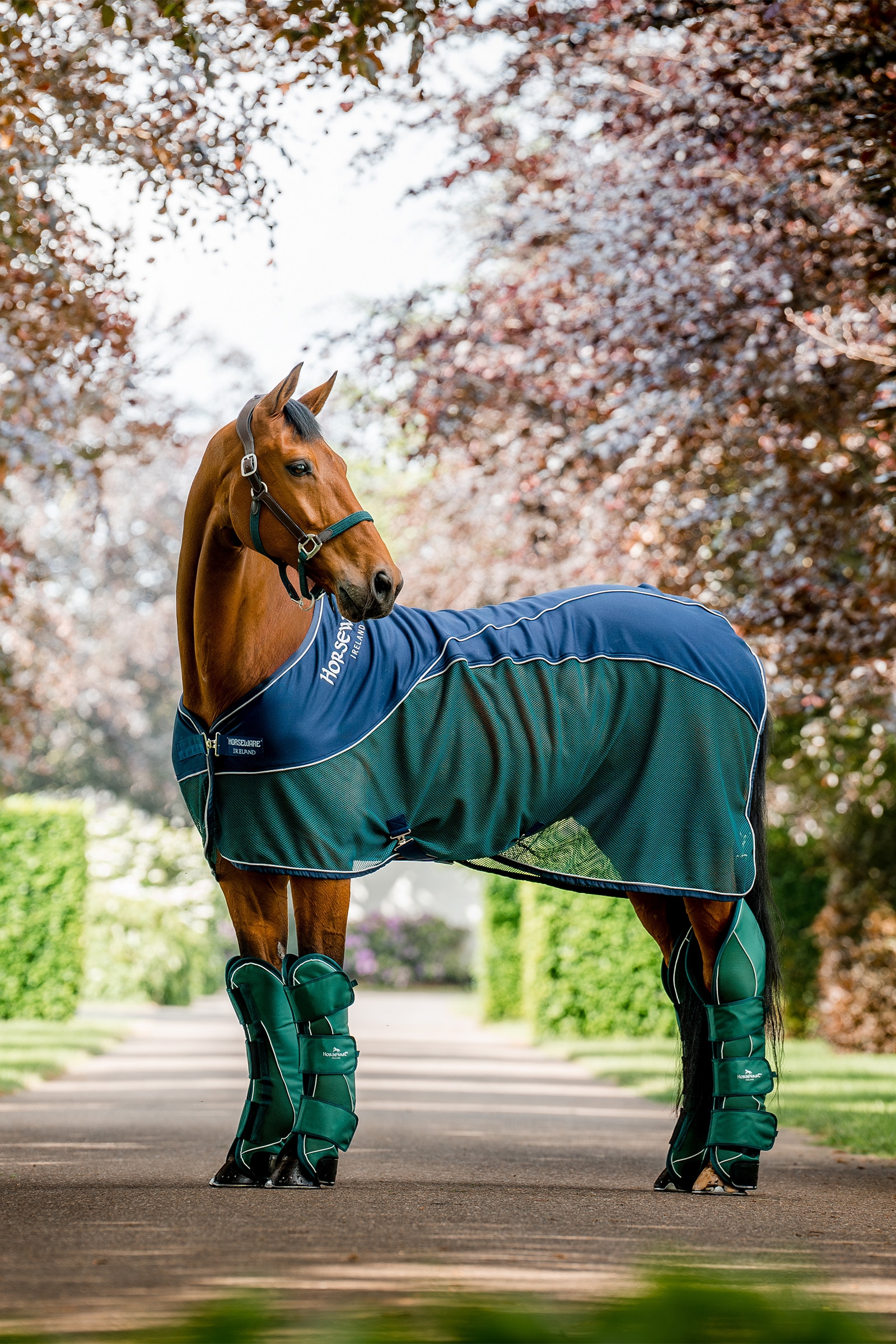 Horseware Signature Chusty Transportowe