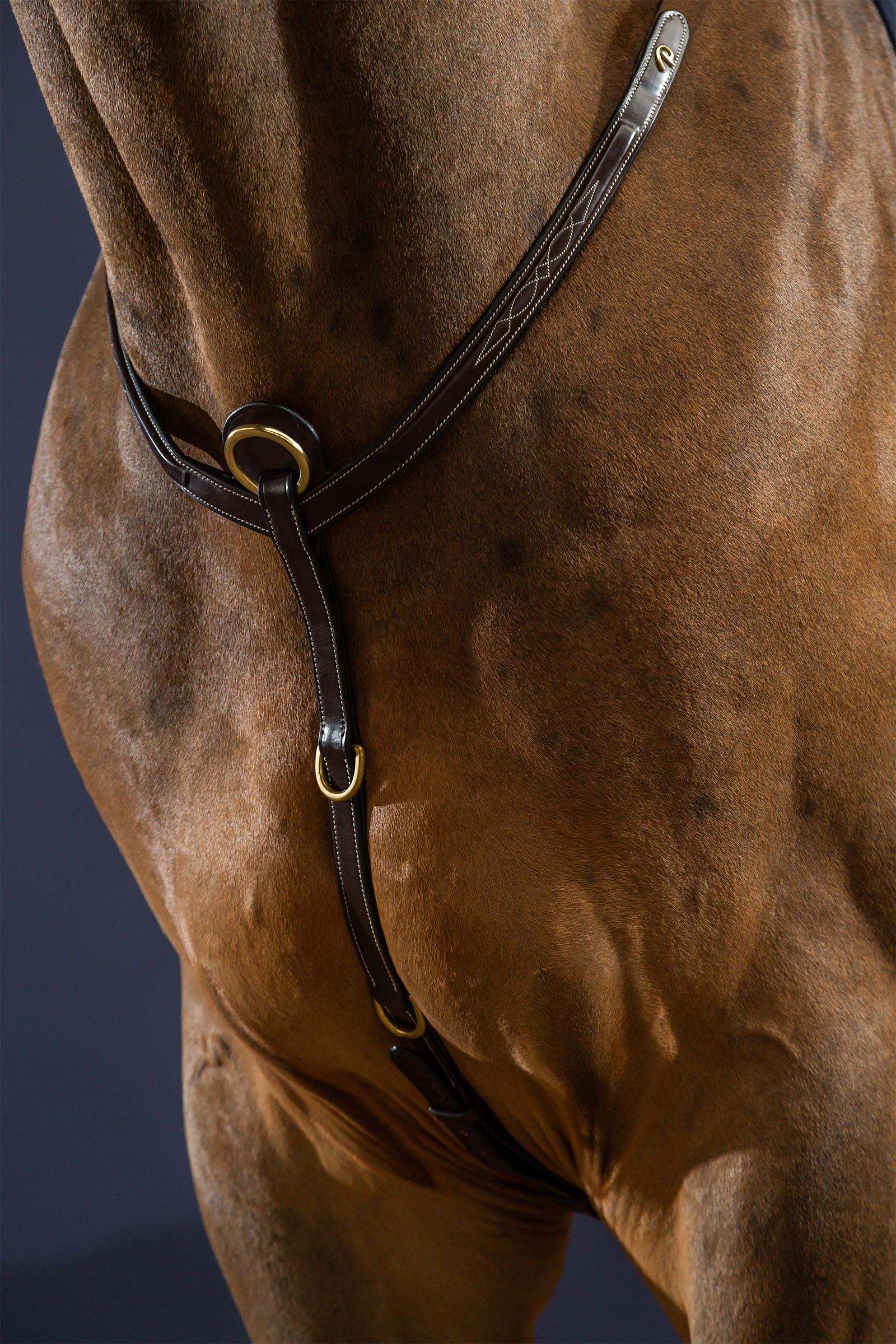 Dy'on D Collection napierśnik z mostkiem