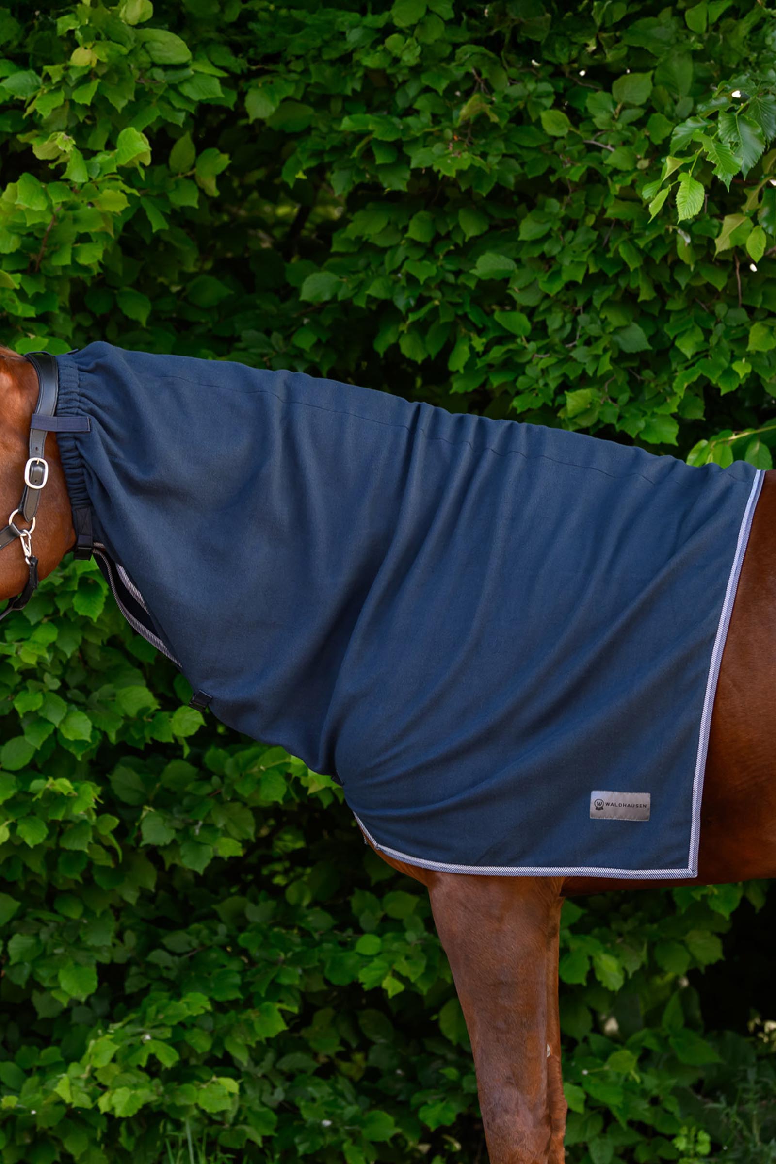 Night Blue Waldhausen ECONOMIC polarowy kaptur