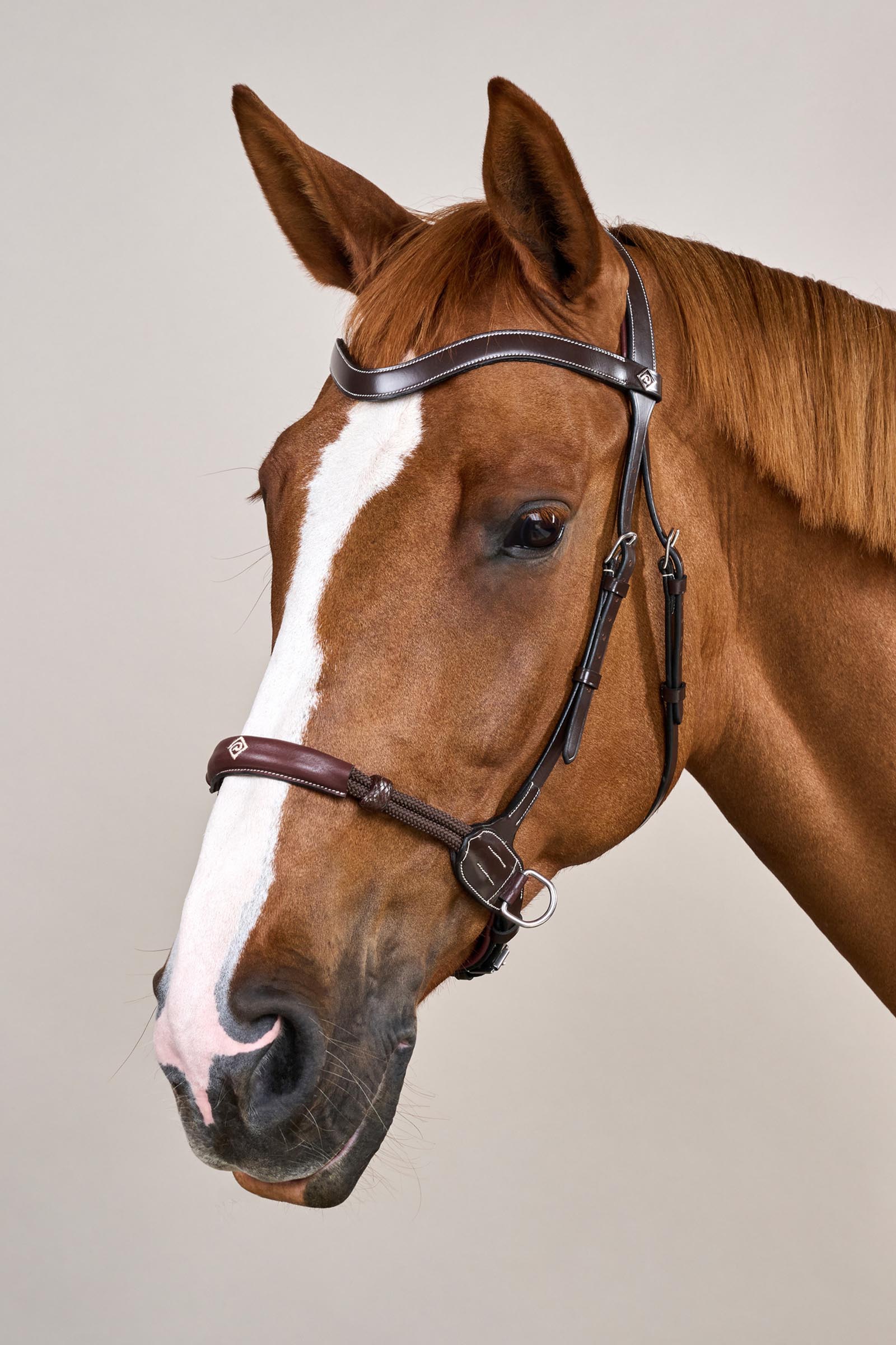 Dy'on Working ogłowie bezwędzidłowe  
