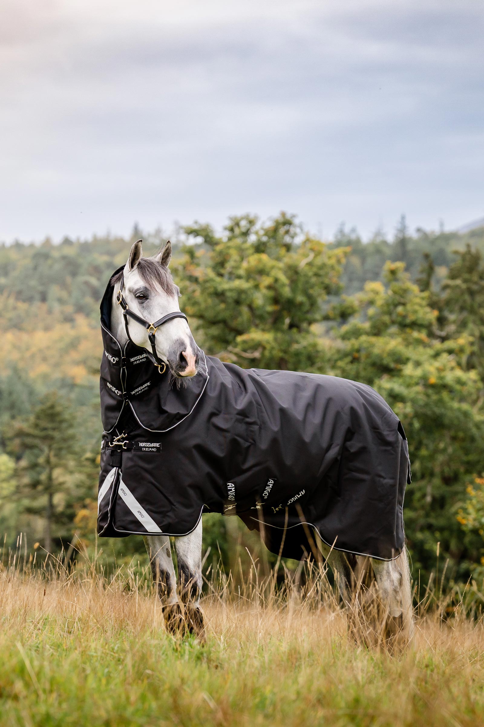 Horseware Amigo Super Bravo Plus derka padokowa z odpinaną częścią szyjną, 250 g